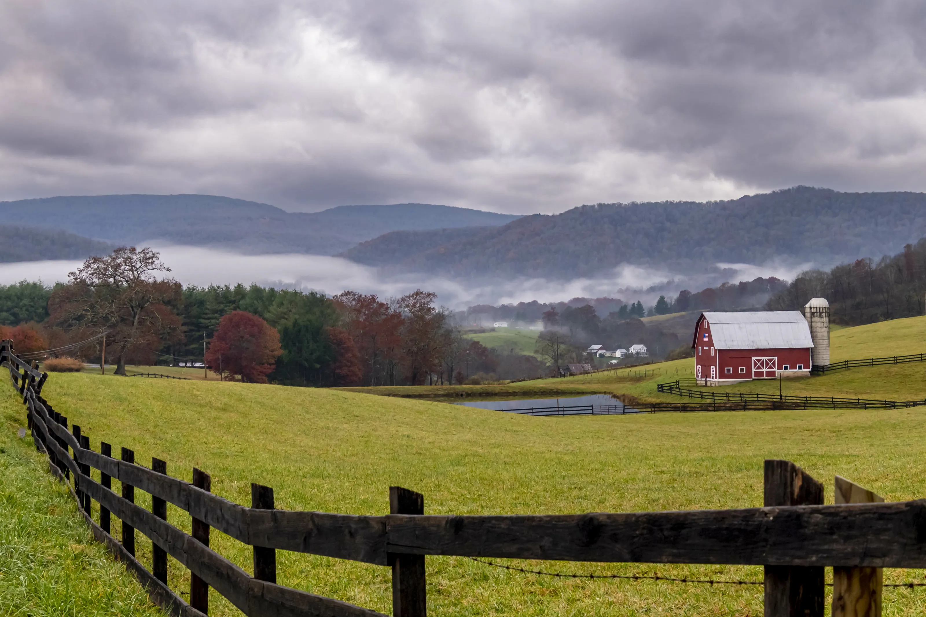 Foggy Morning
