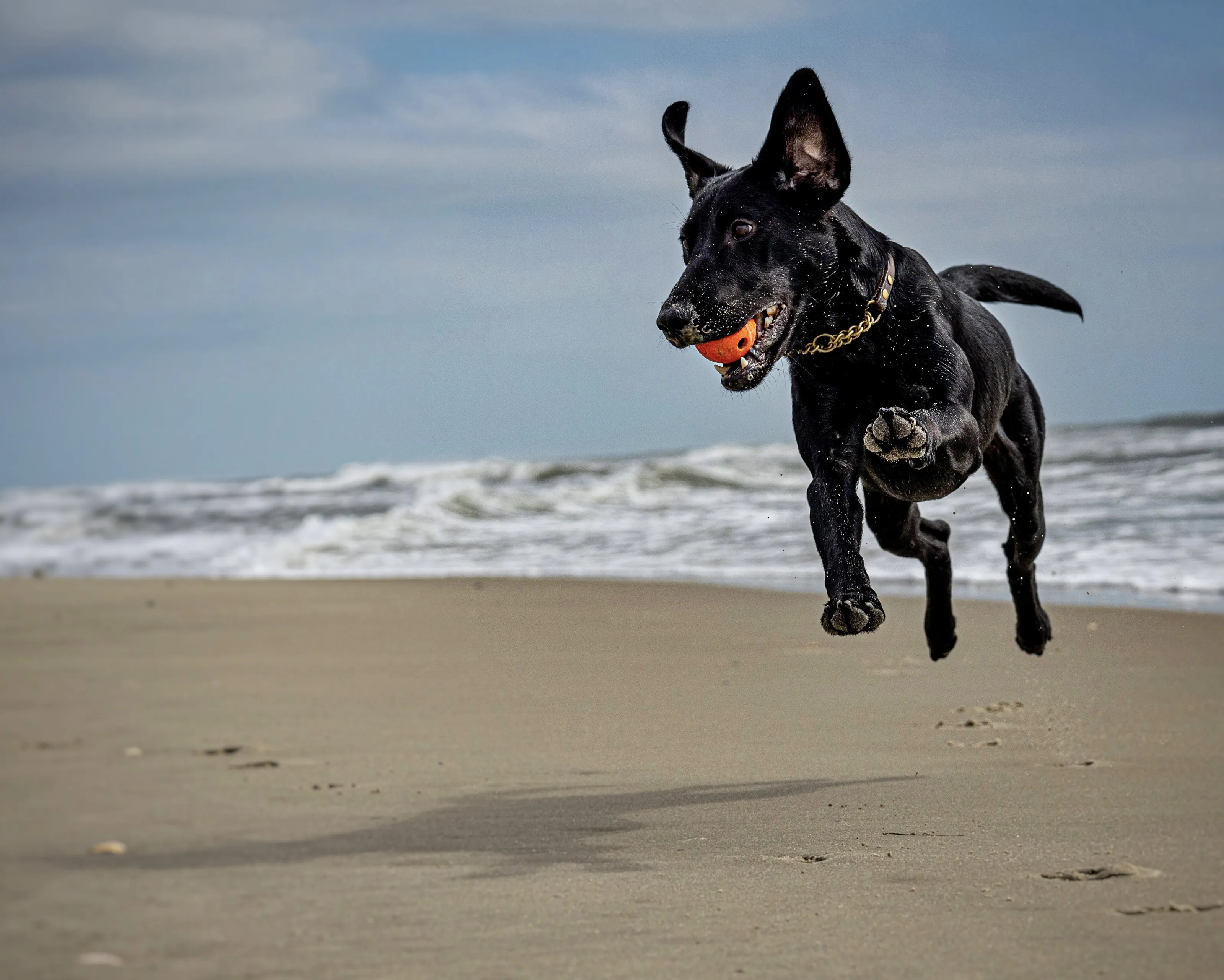 Ranger on Ocracoke Island