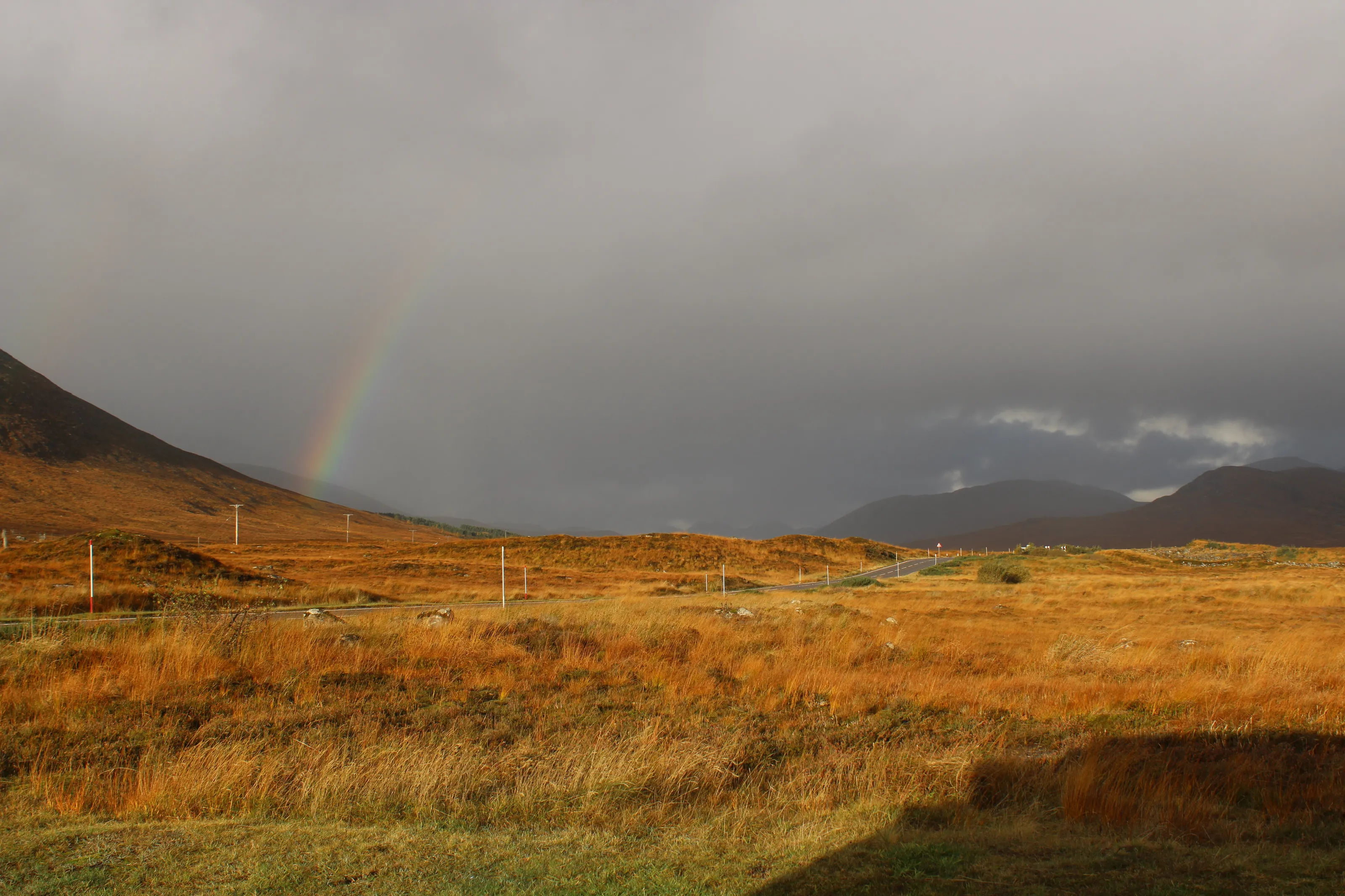 Rainbow