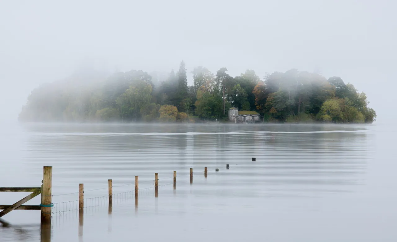 Misty Morning