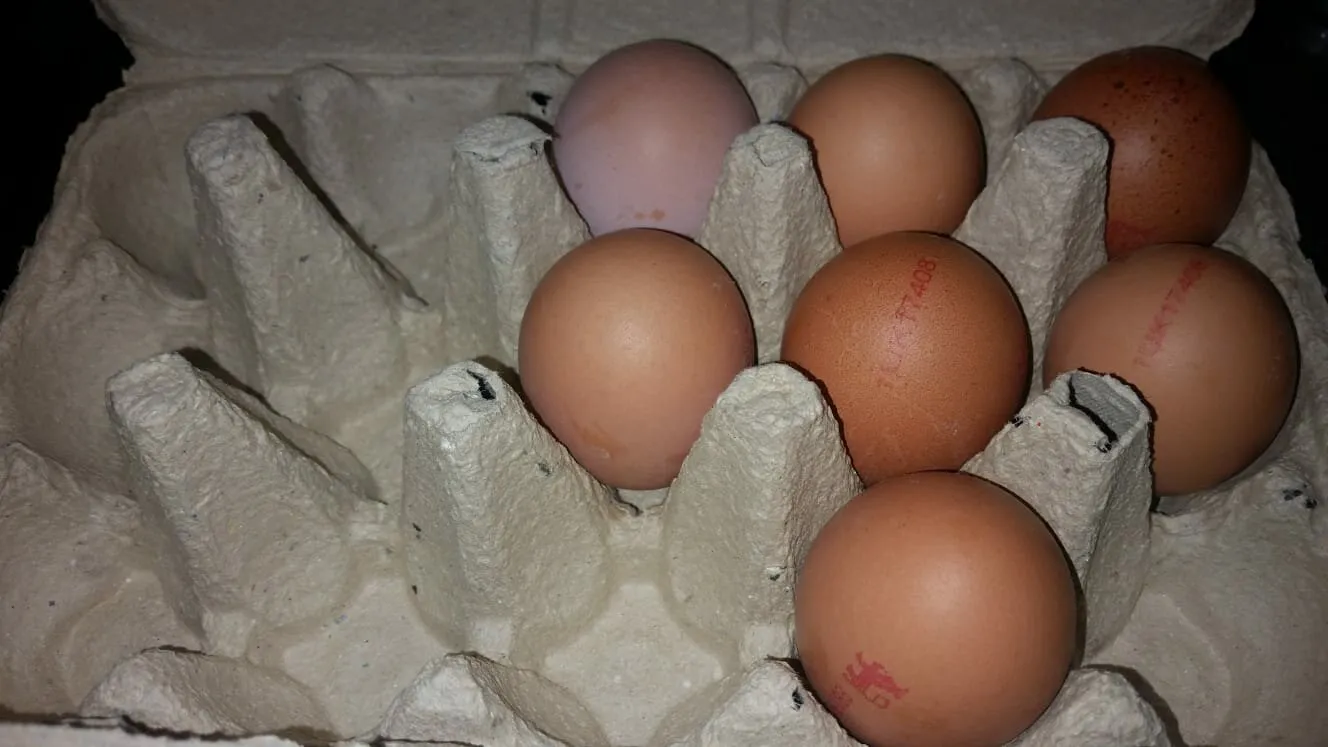 Entry 14722426
