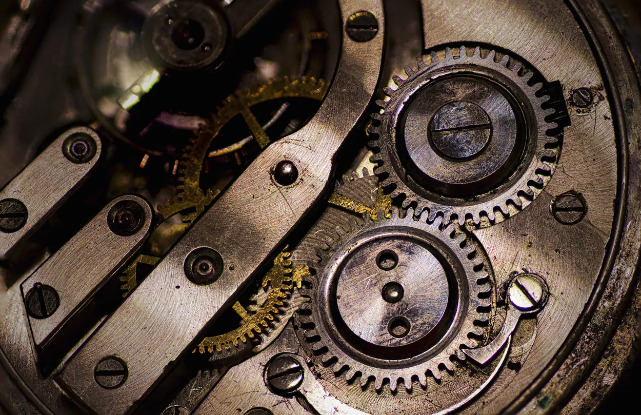 Entry 14730541