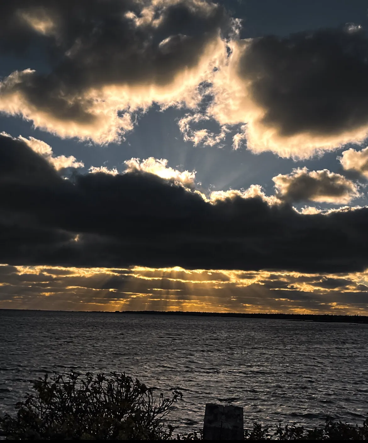 Rays of Hope