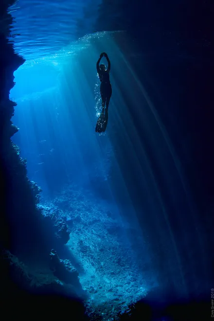 Swallow's Ascent (original)