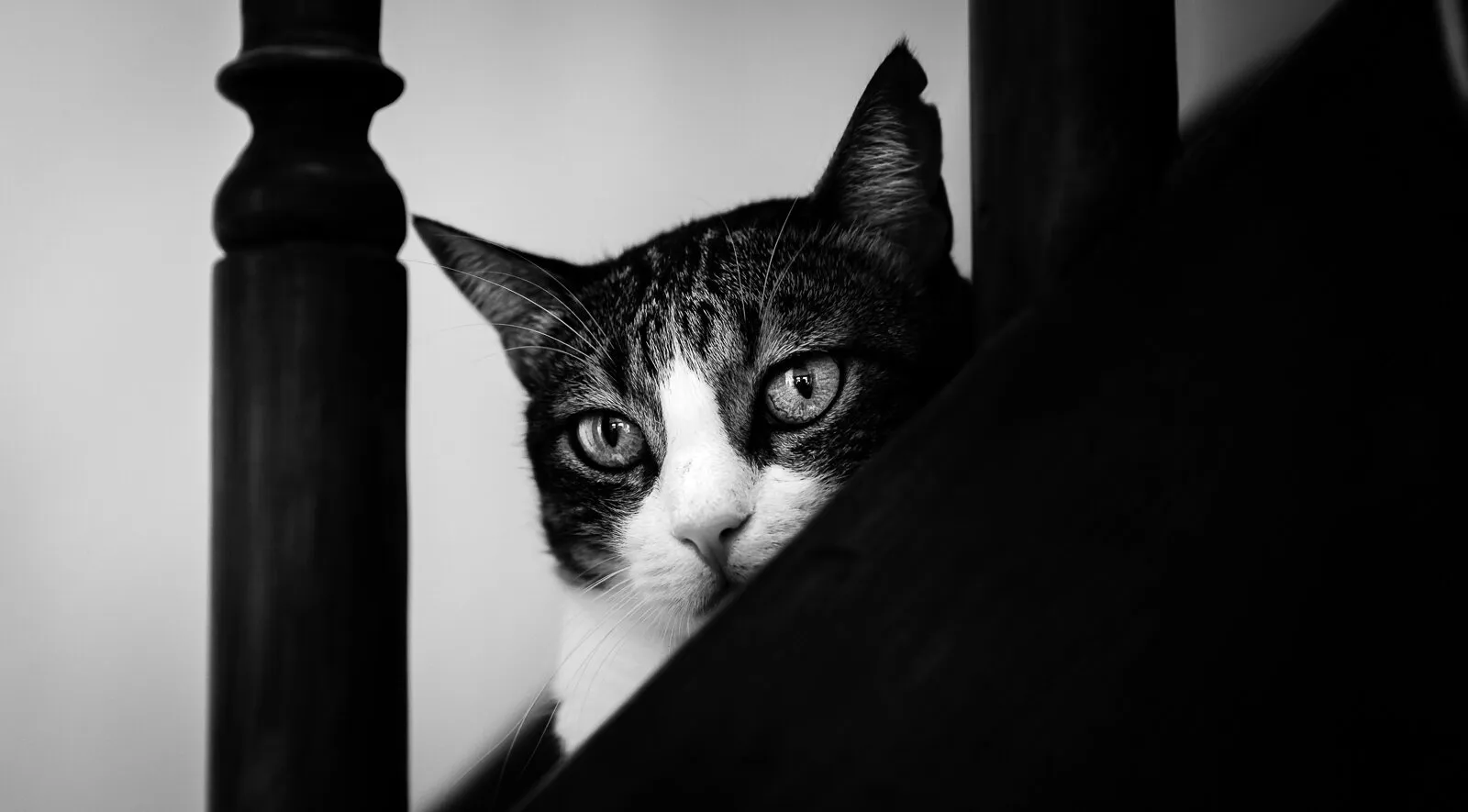 staring