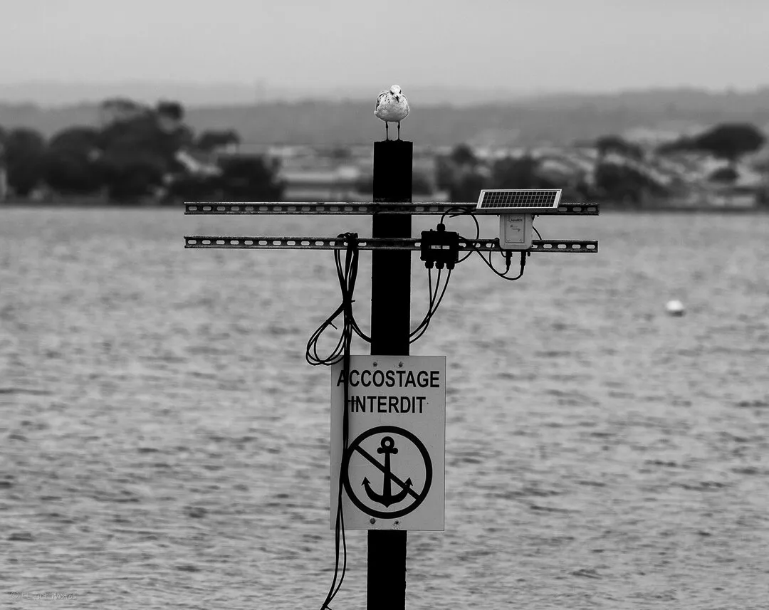 Docking prohibited !