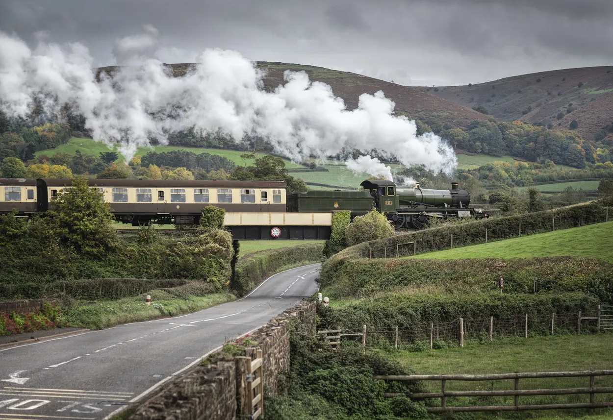 Entry 17828145