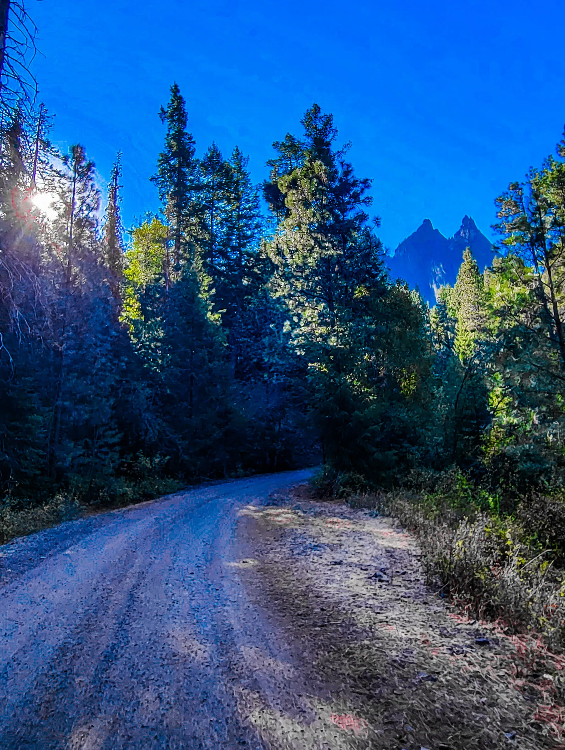 Near Rimrock Lake in Central Washington state. Fall 2022