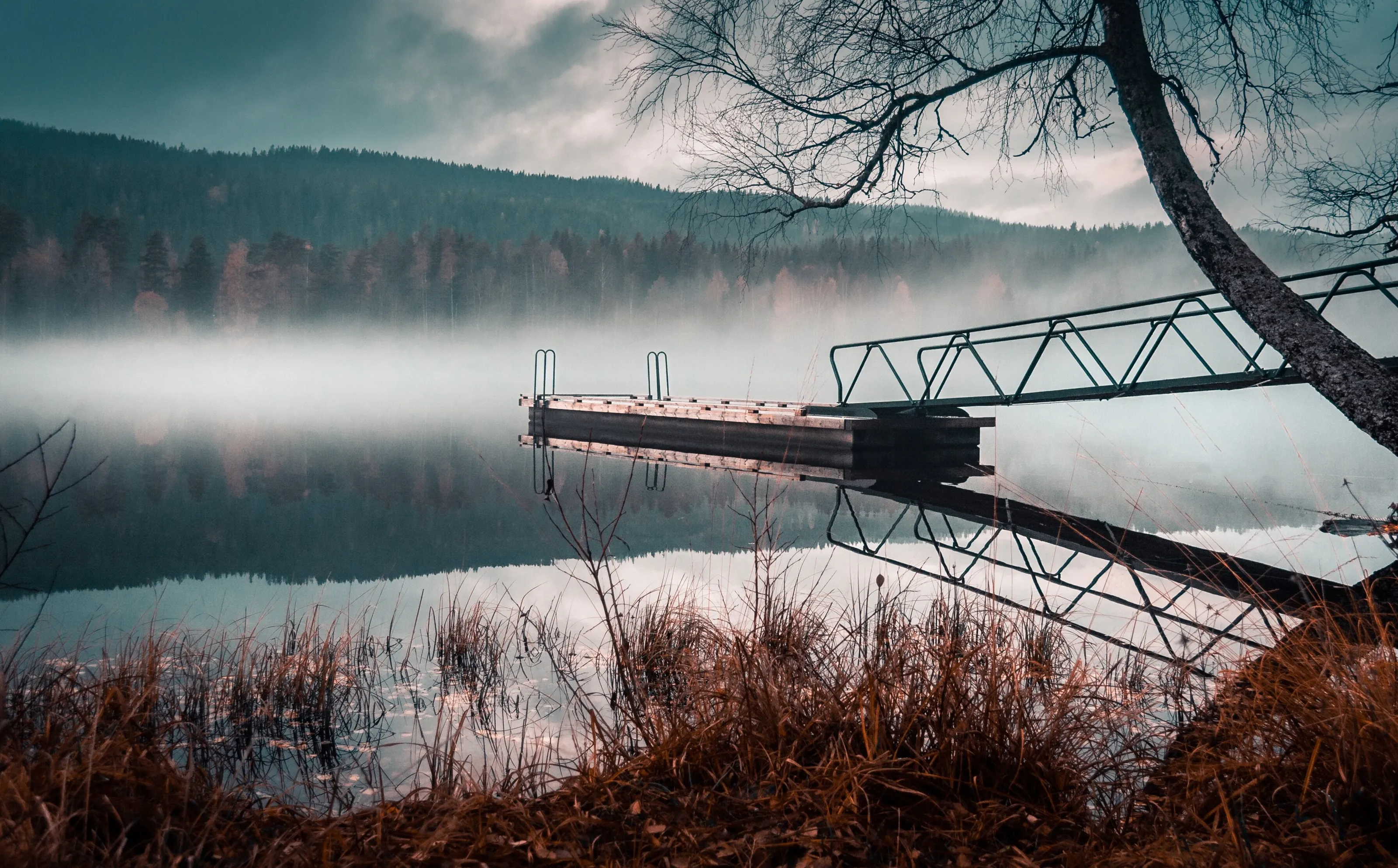 Fog on Water