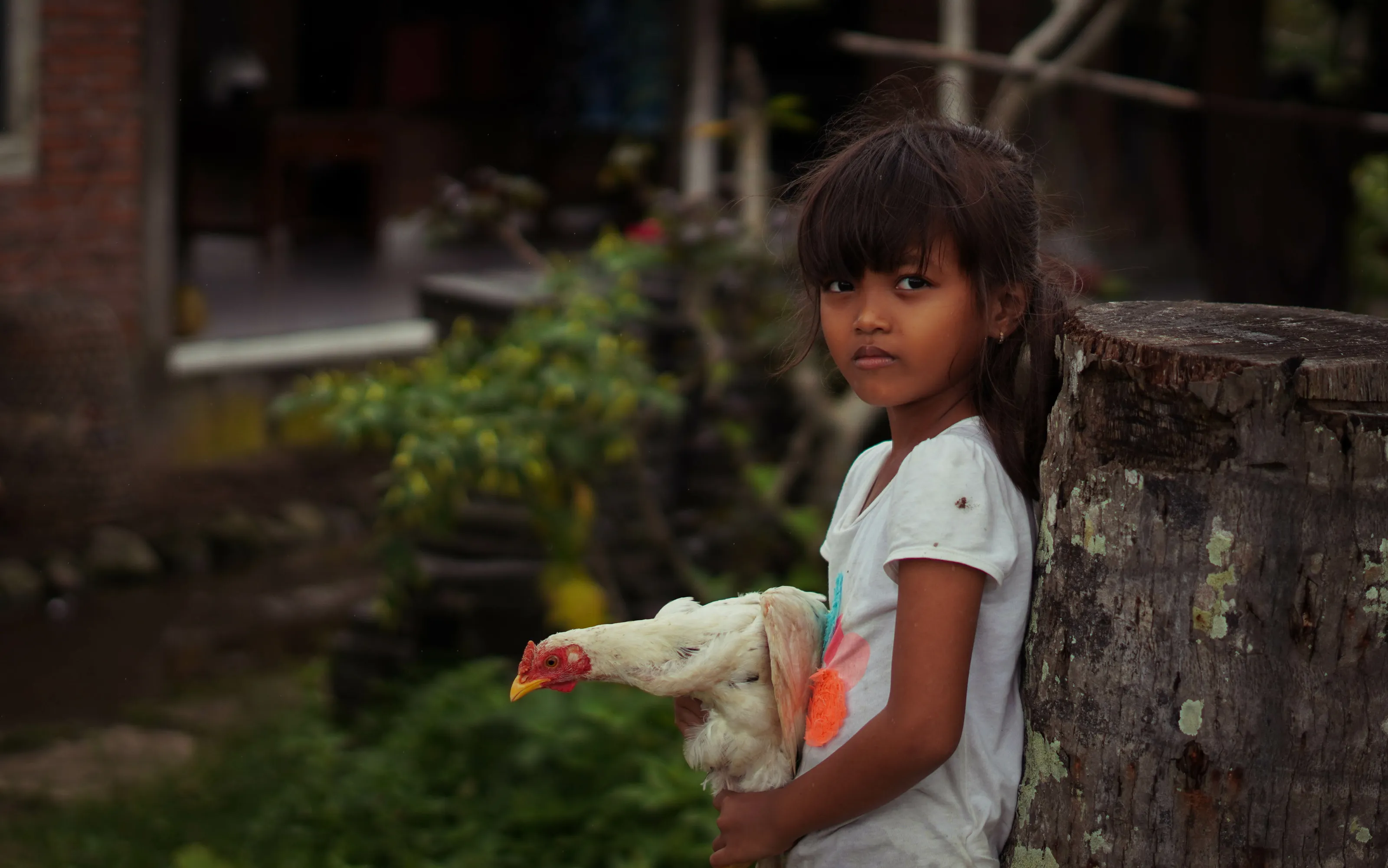 The chicken and the girl