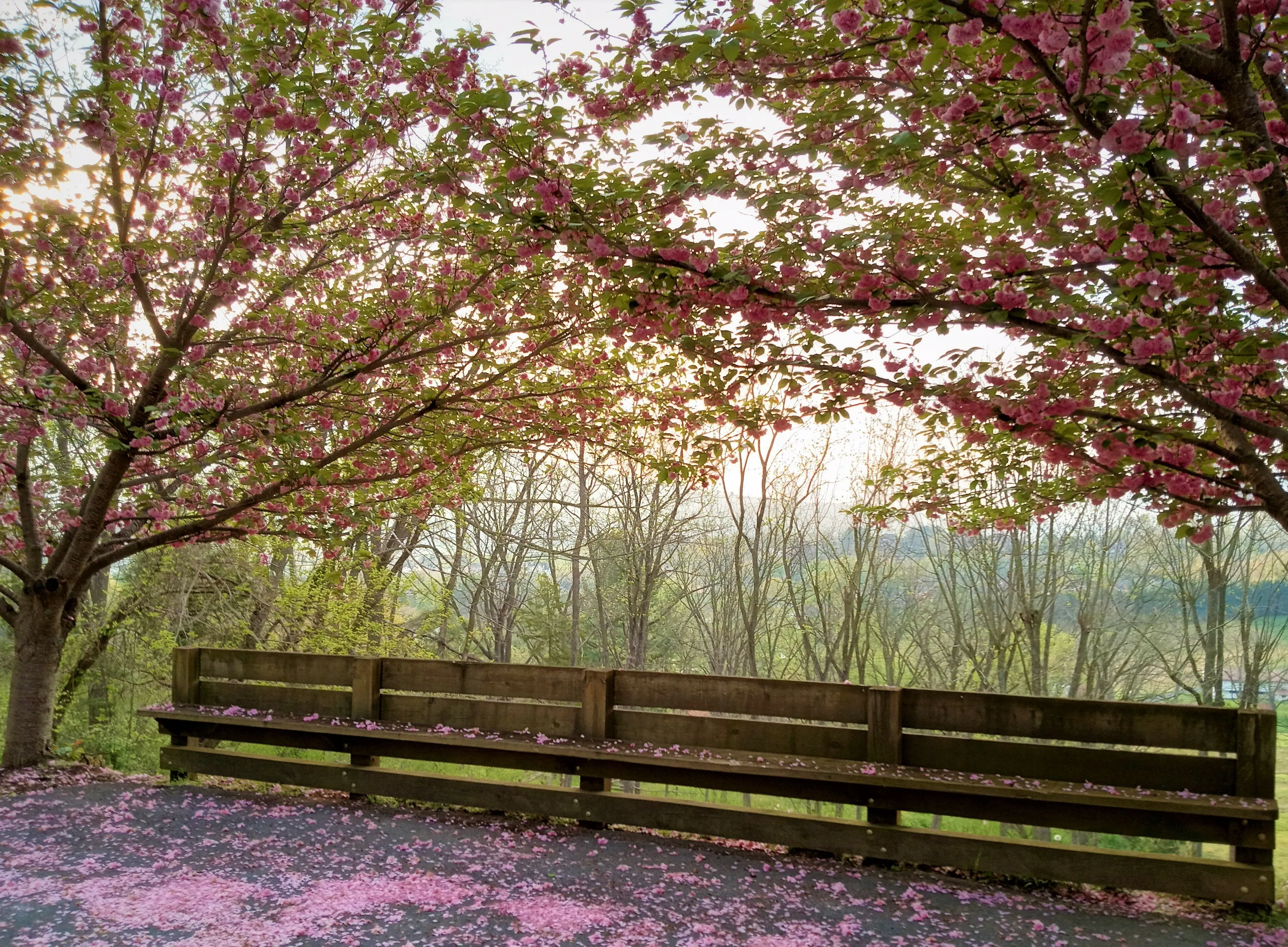 Beauty of morning peace
