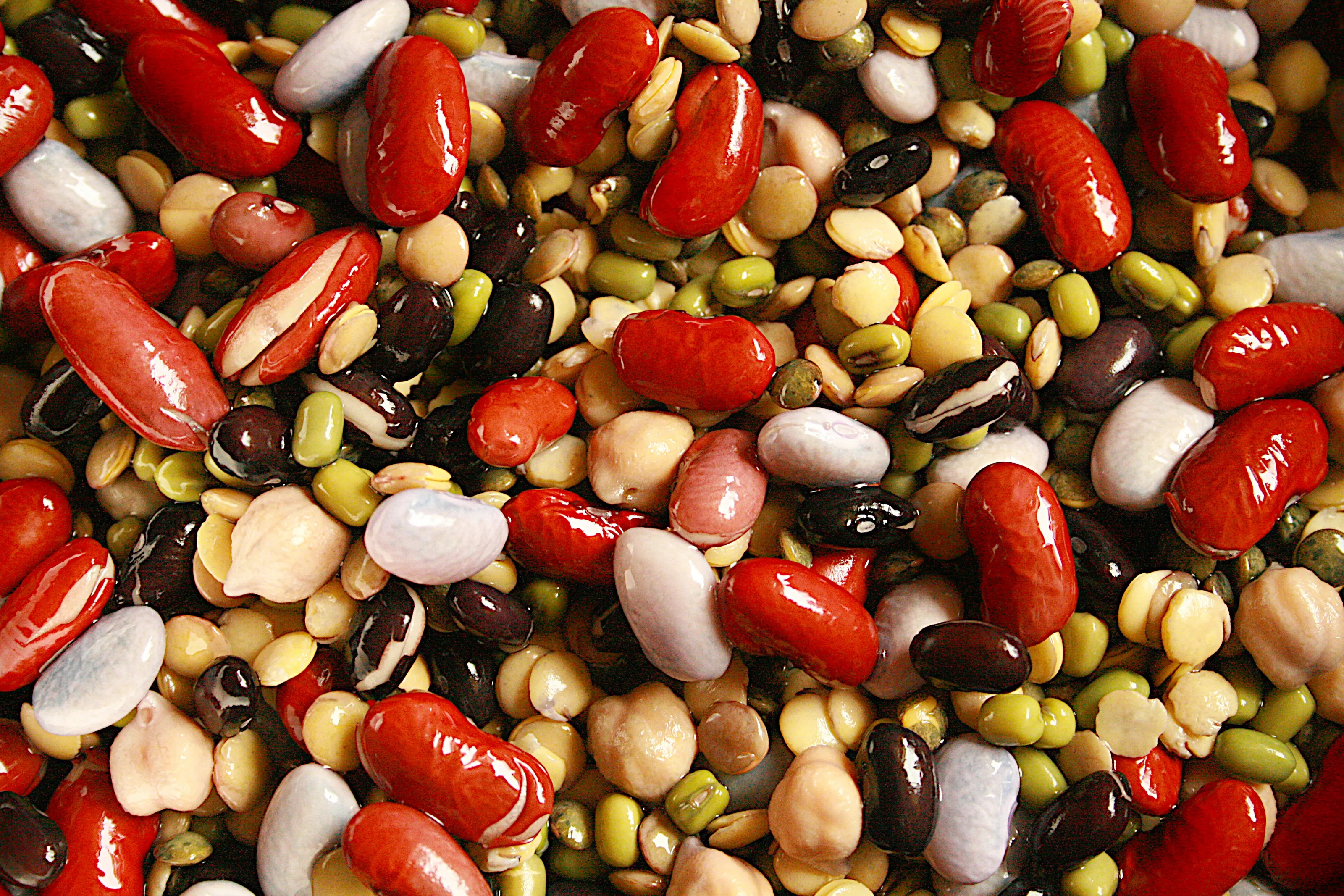 Protein