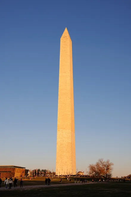Golden Spike
