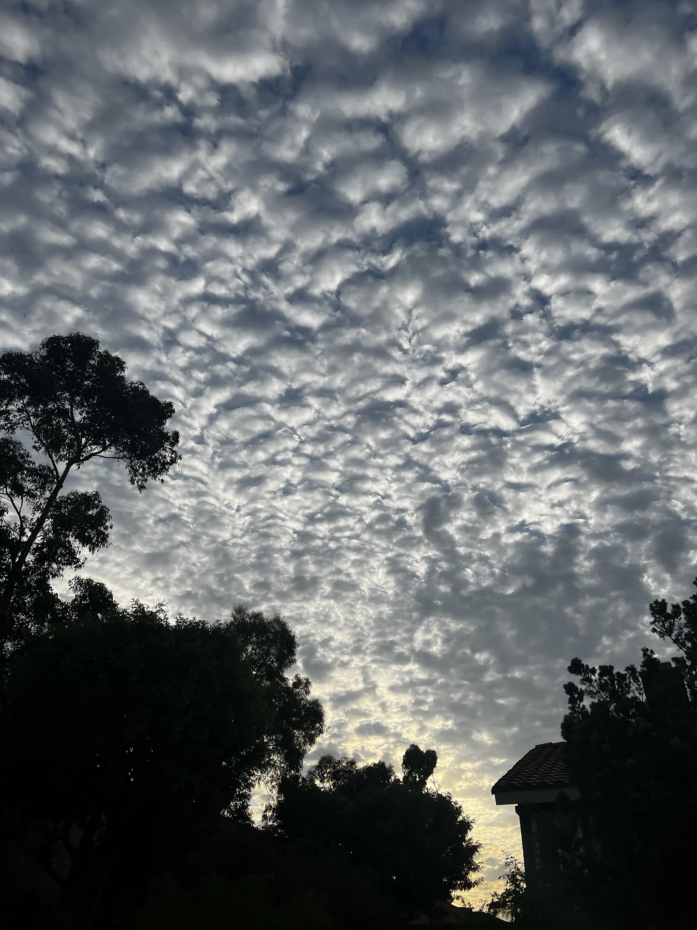Cloudy sky’s