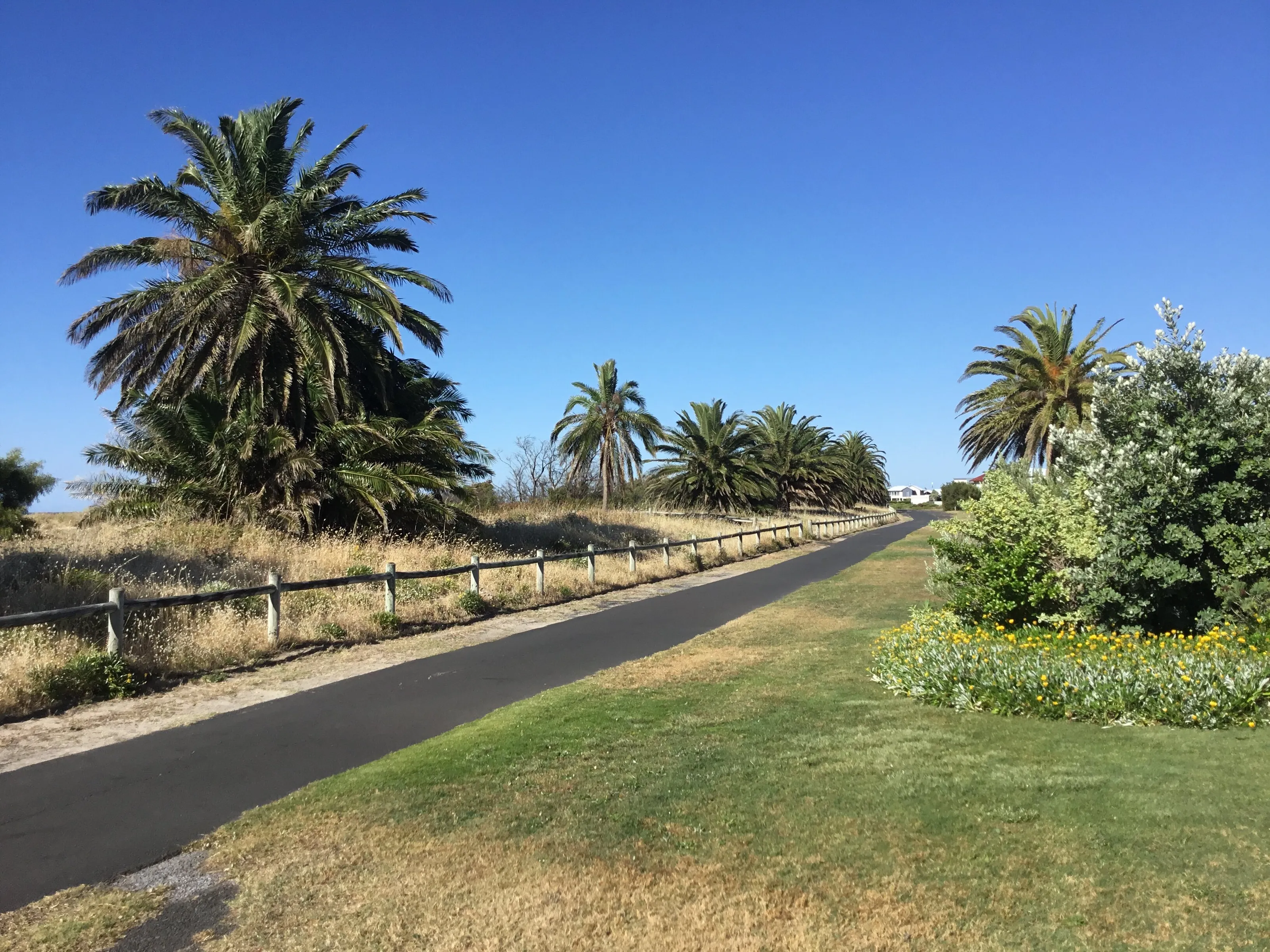 Path to the canals