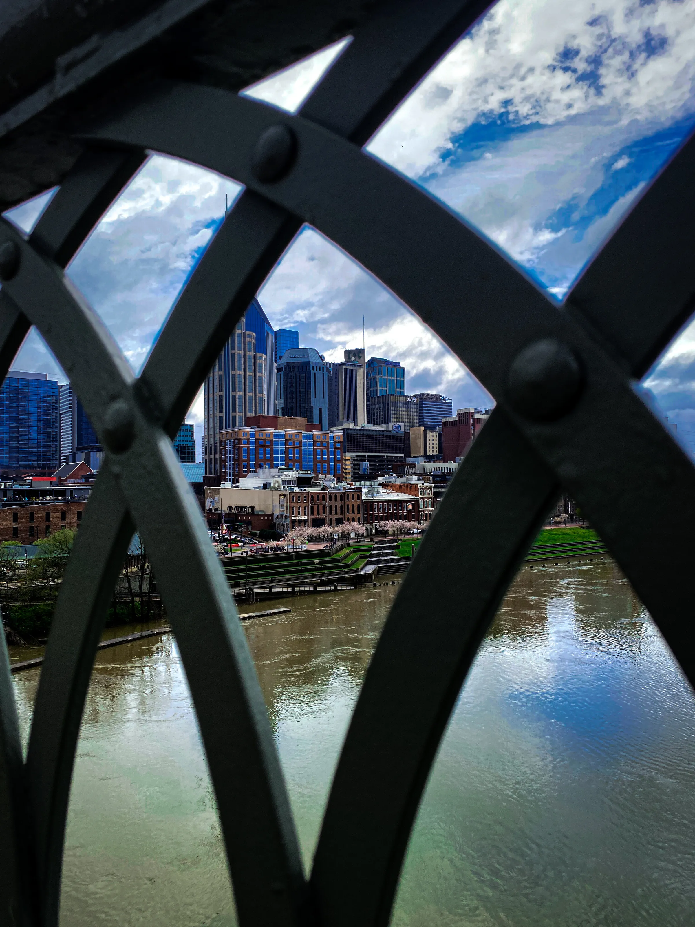 Nashville Skyline