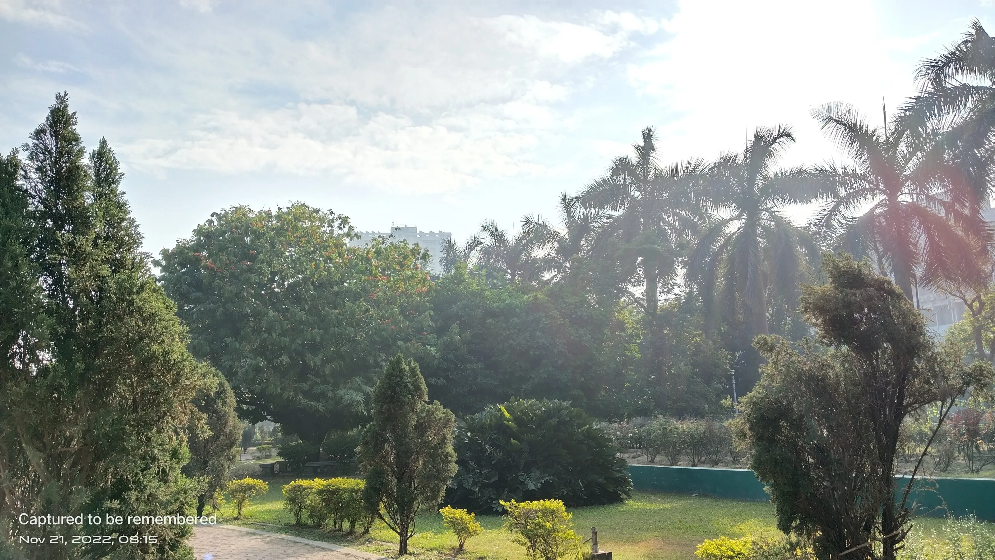 Bright morning