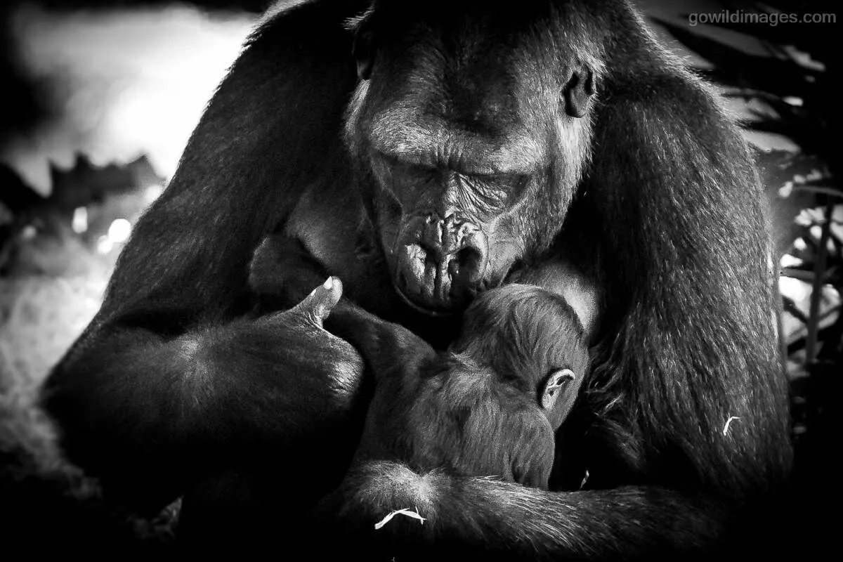Treasured Moments