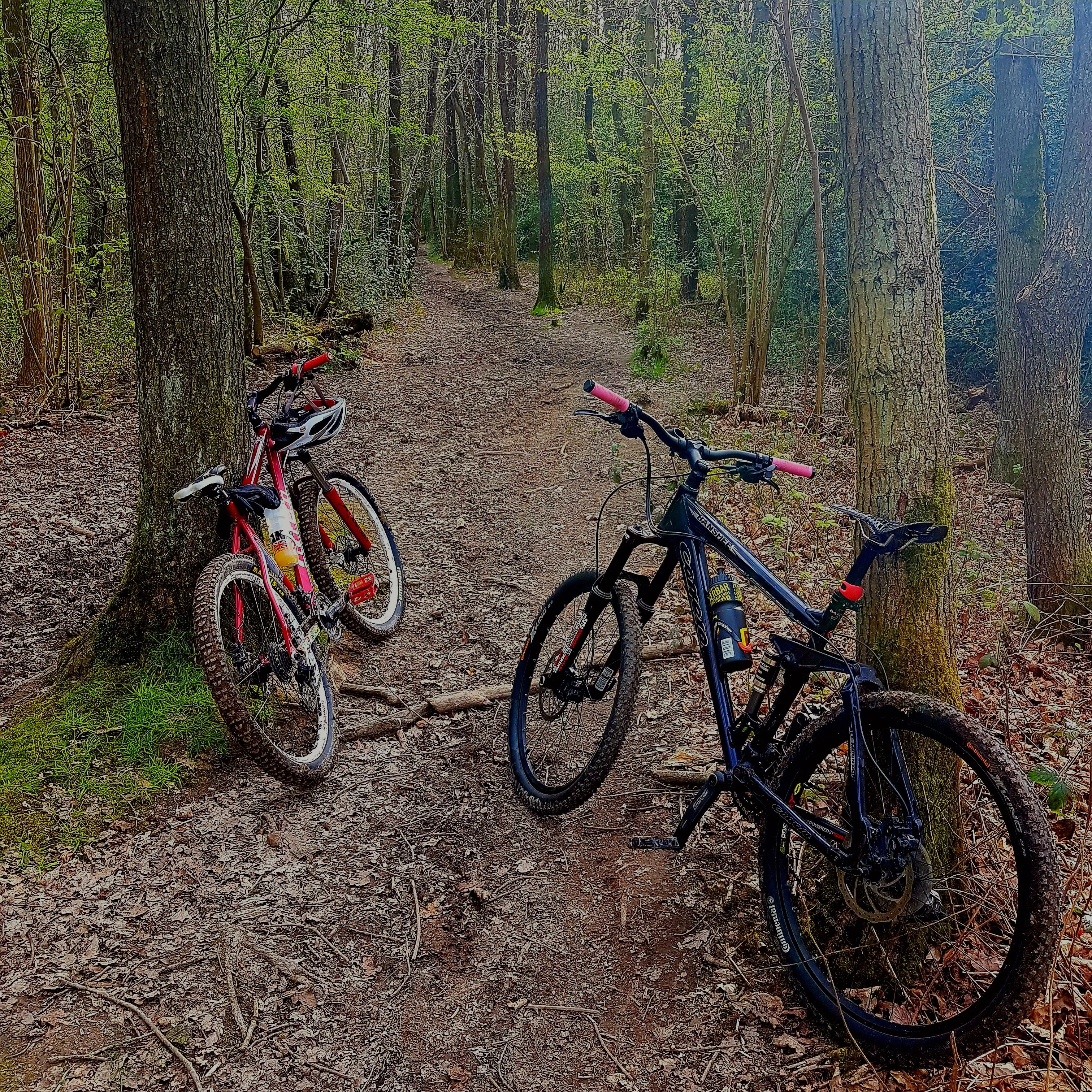 Biking in the woods