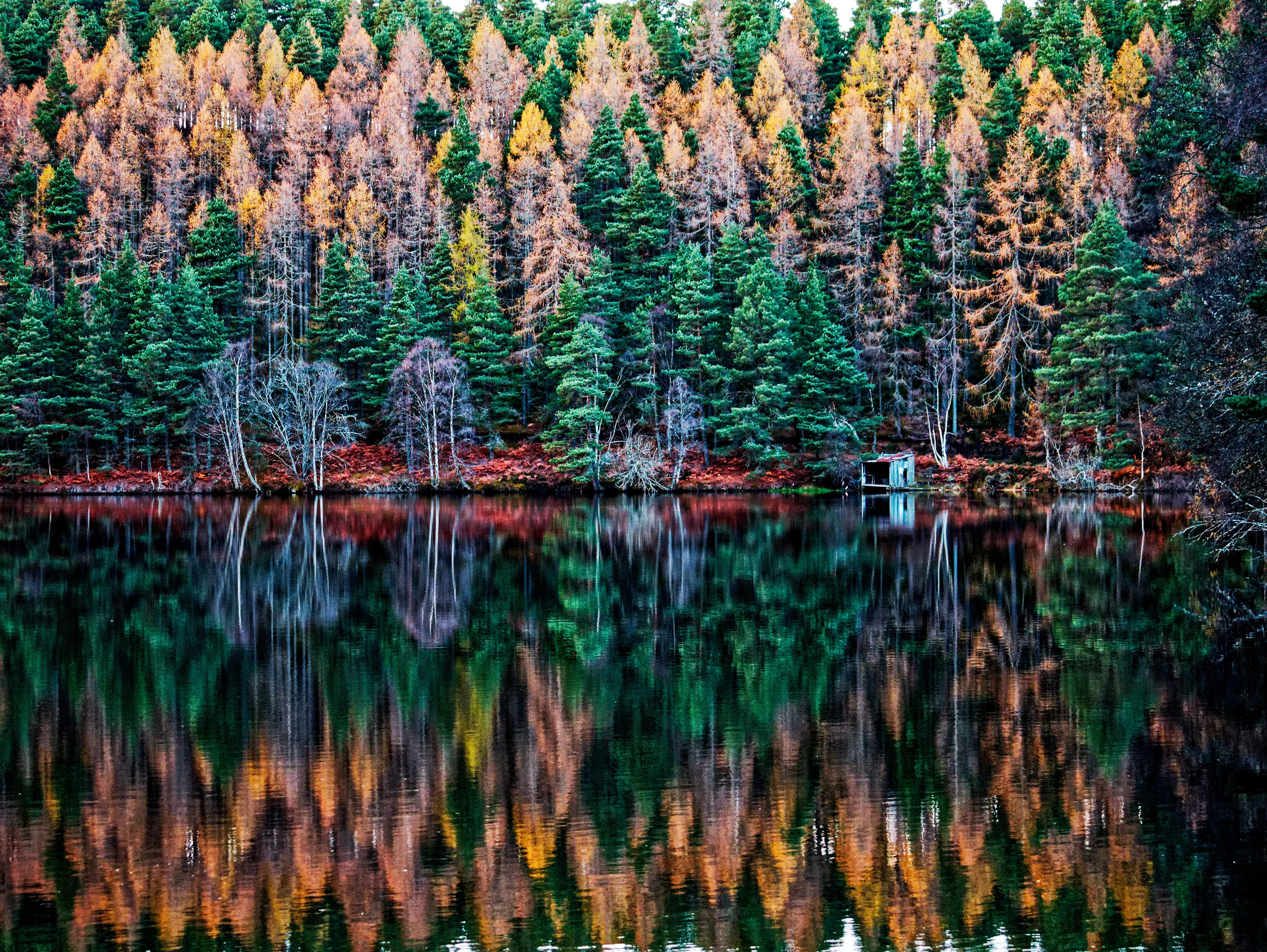 Romach Reflections