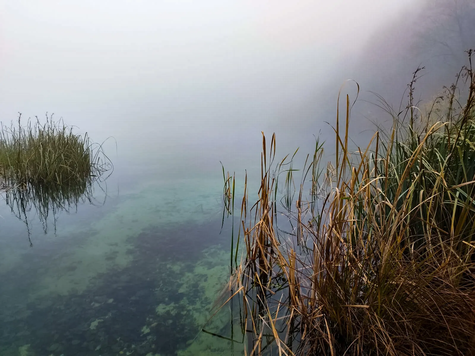 Autumn lake