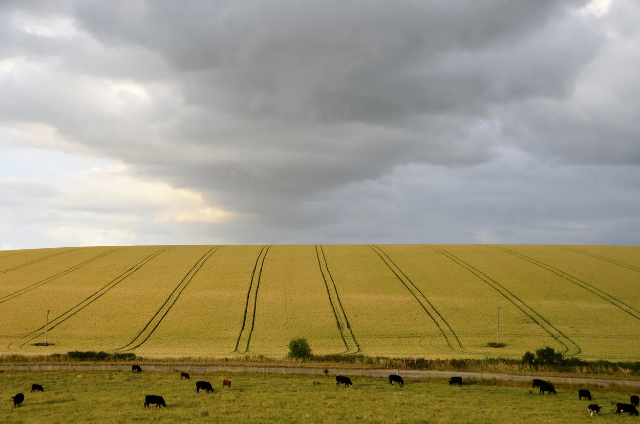 Entry 75395
