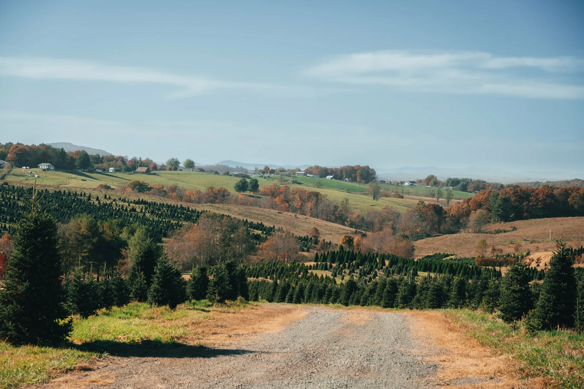 Looking to the hills