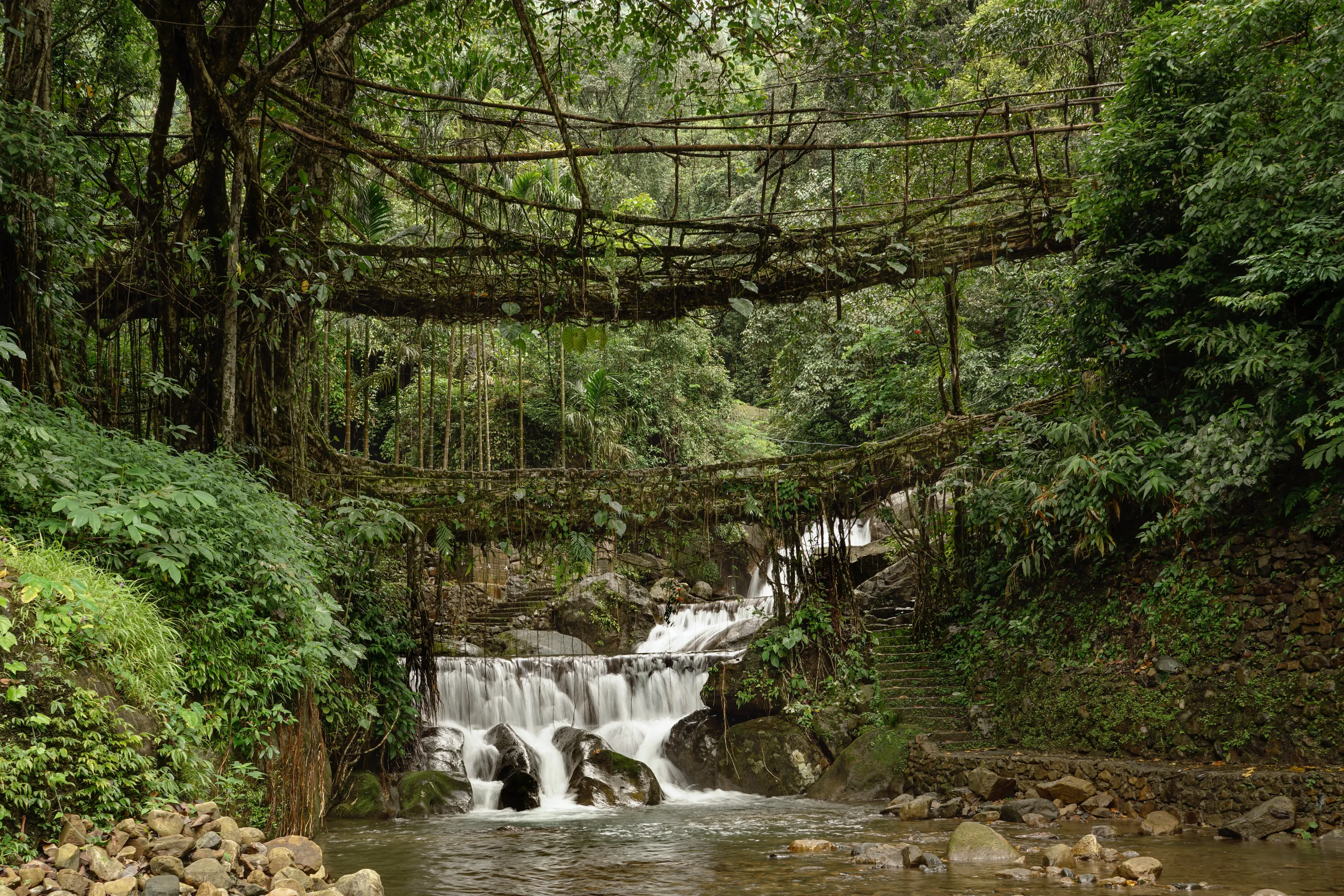 Nature