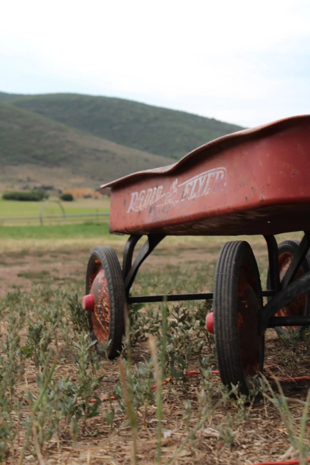 Little Red Wagon