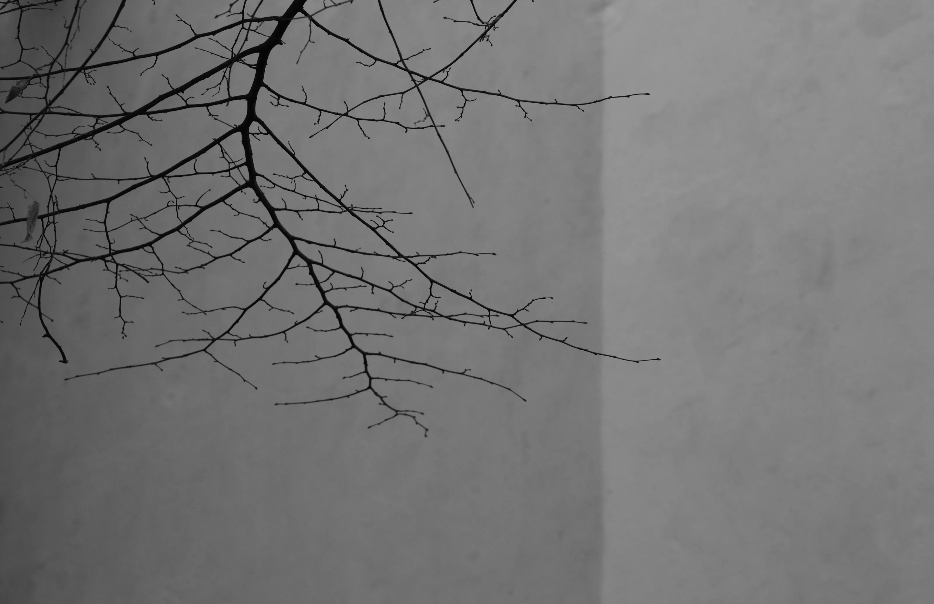 November
