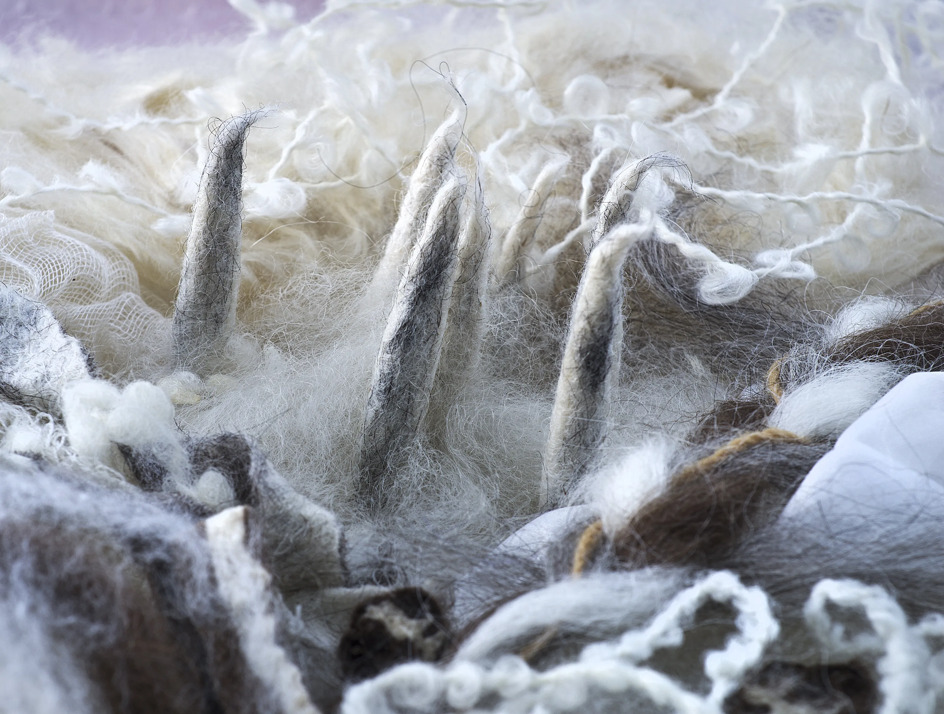 Wool