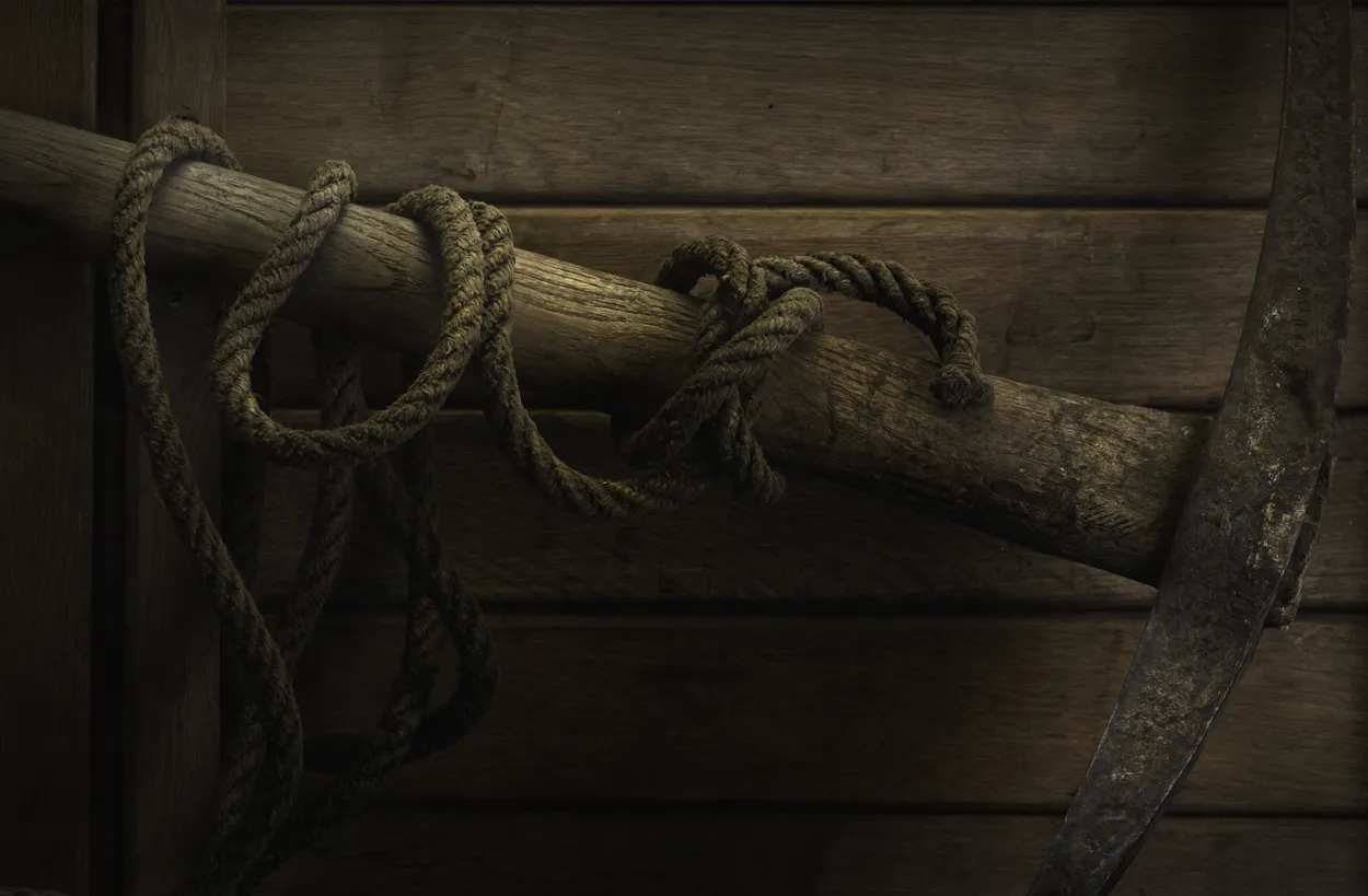 Entry 14878831