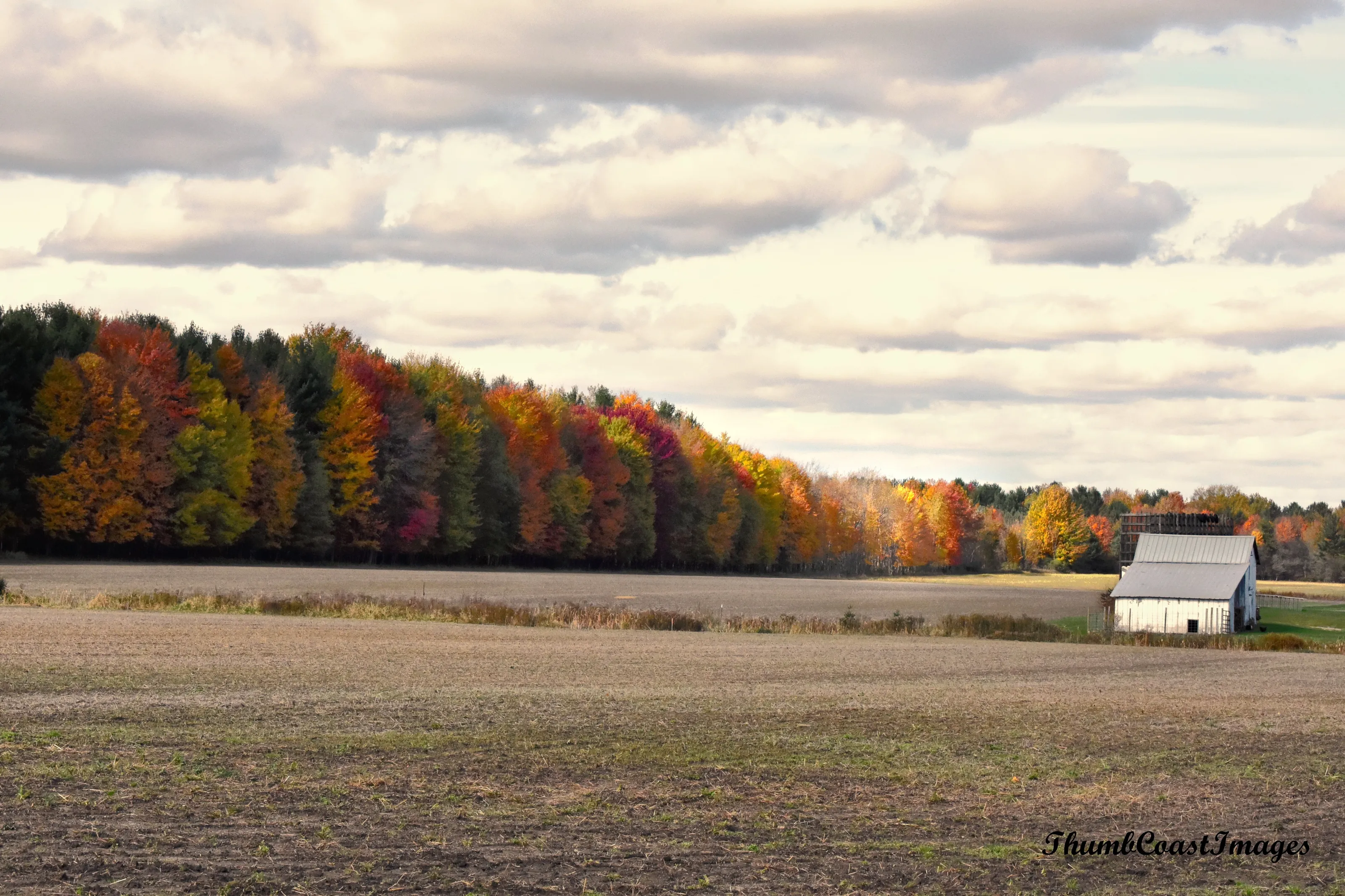 A country Fall