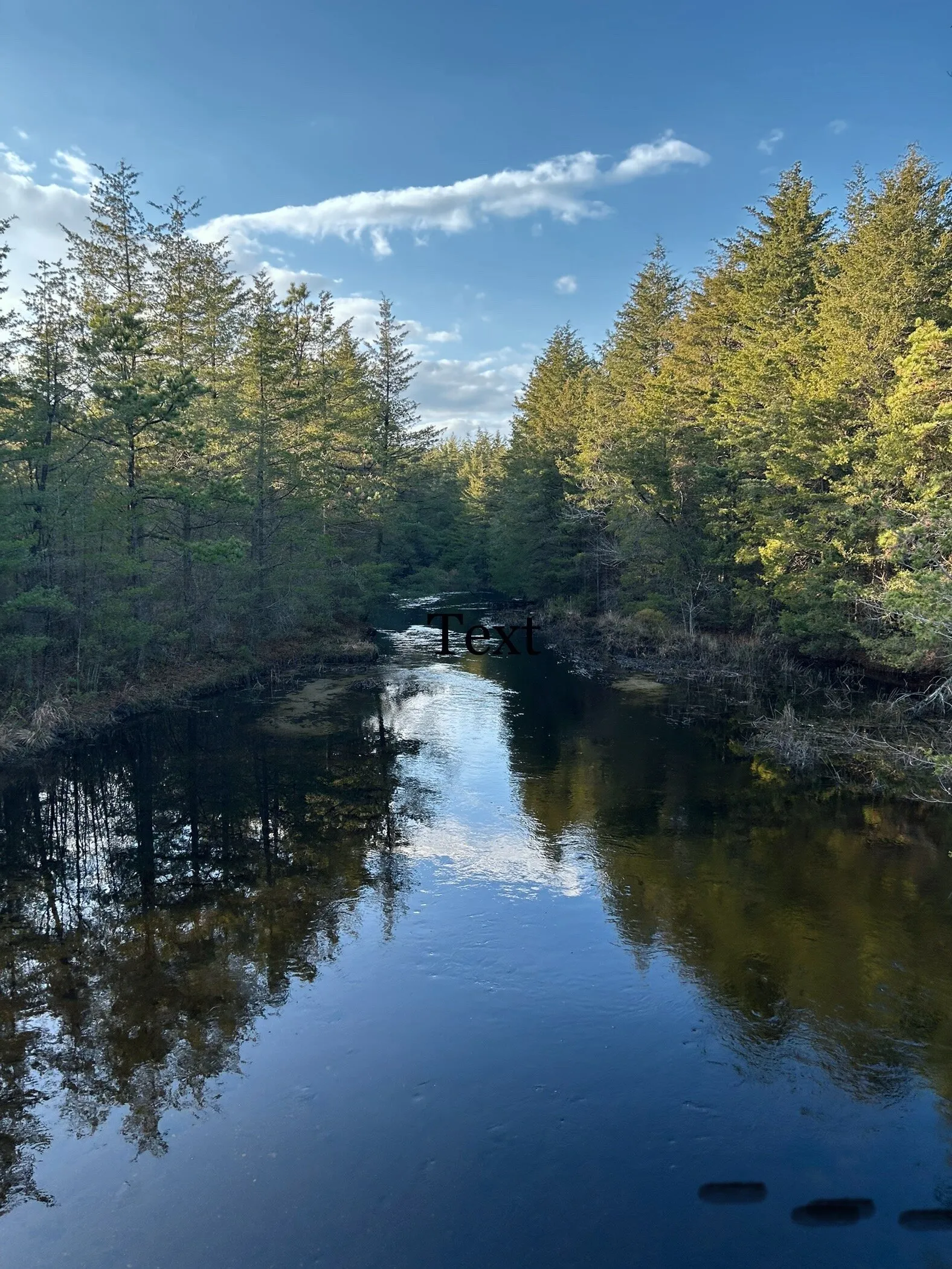 Serenity in the NJ Pines