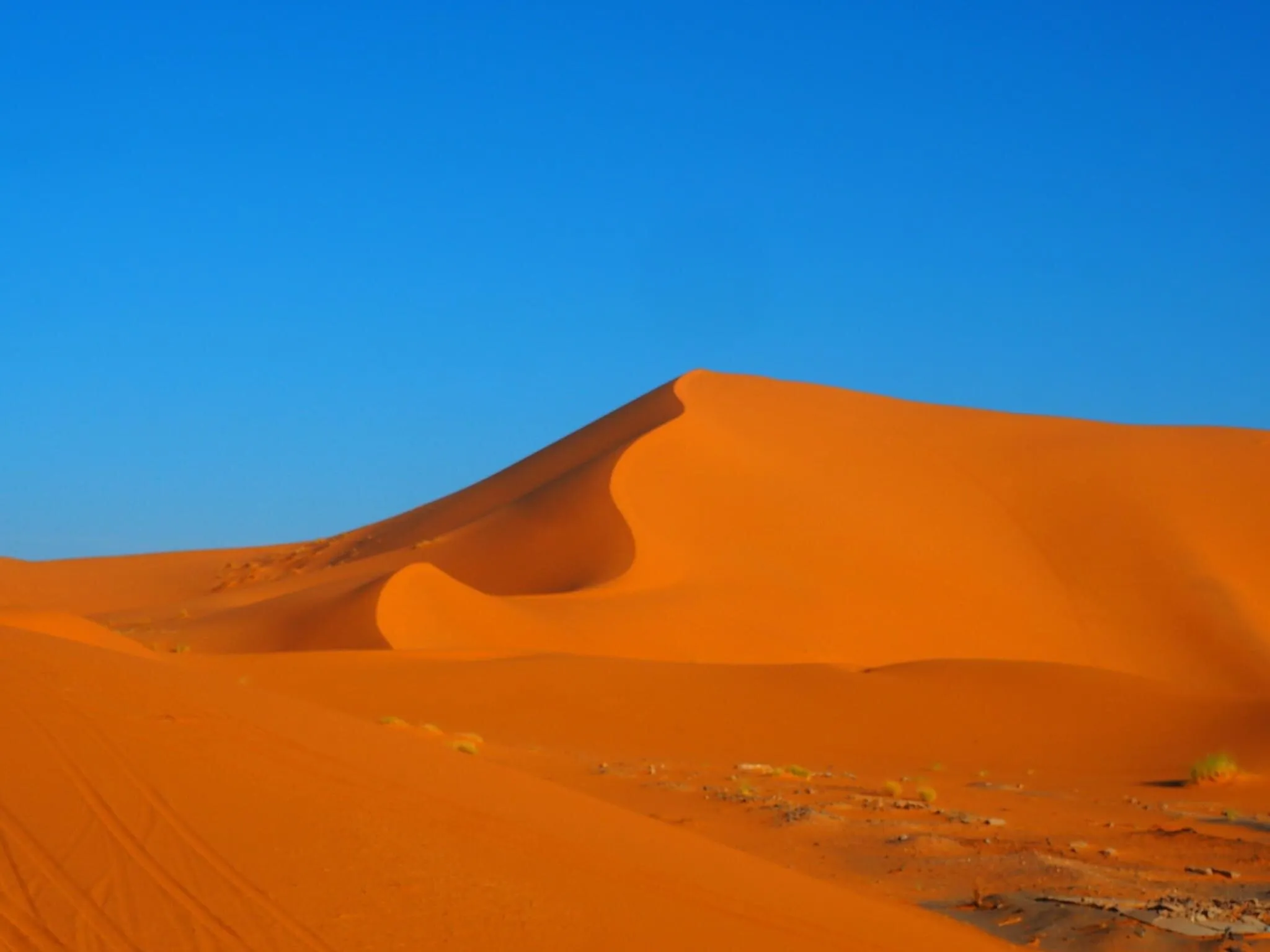 Sahara desert
