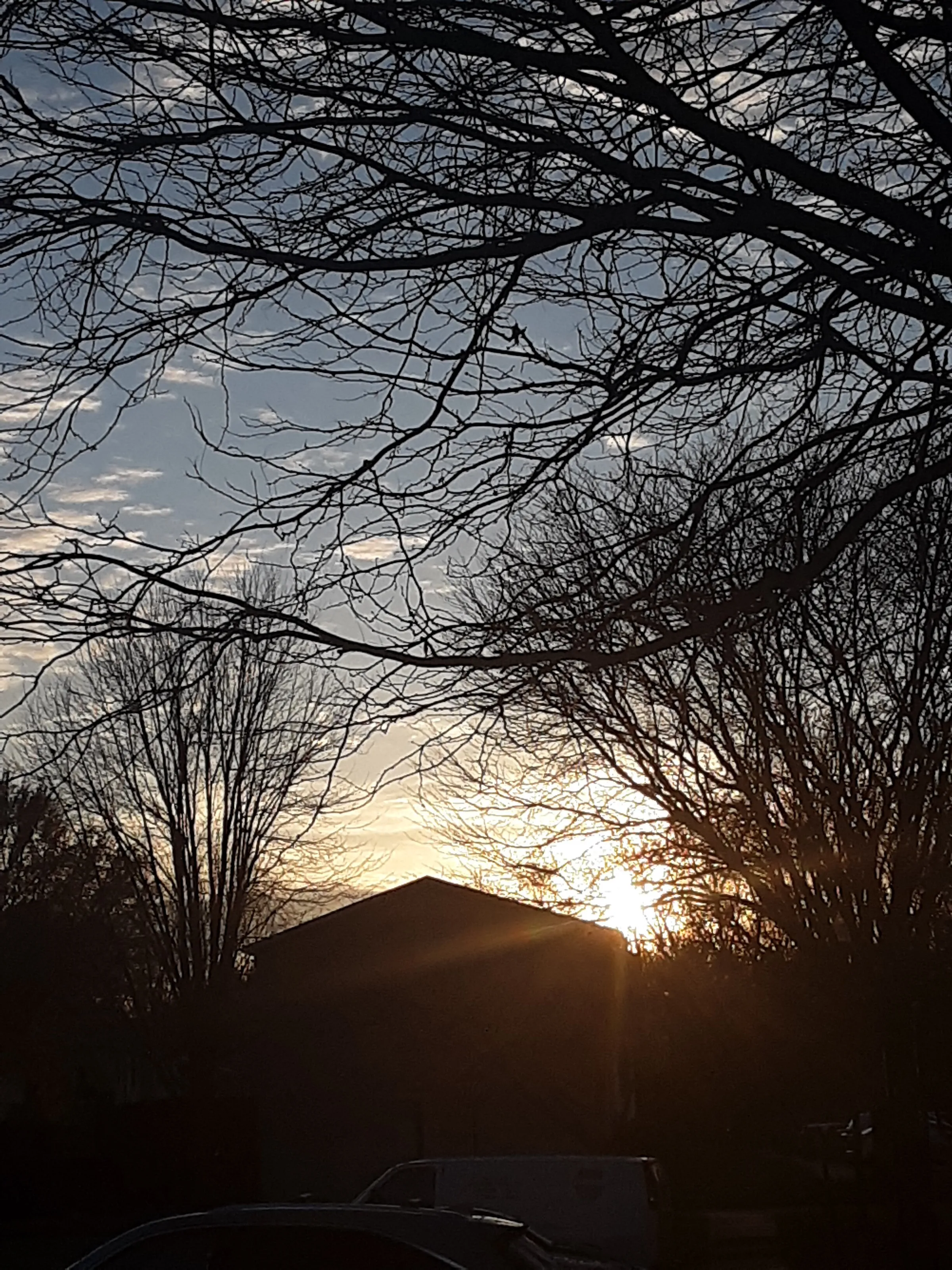Sky