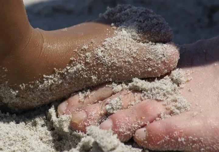 Feet of Living Creatures