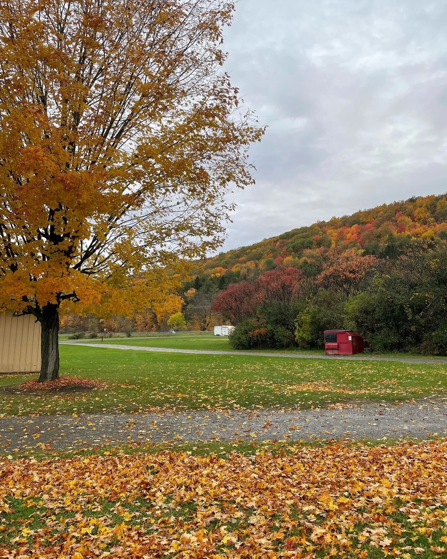 Country Road
