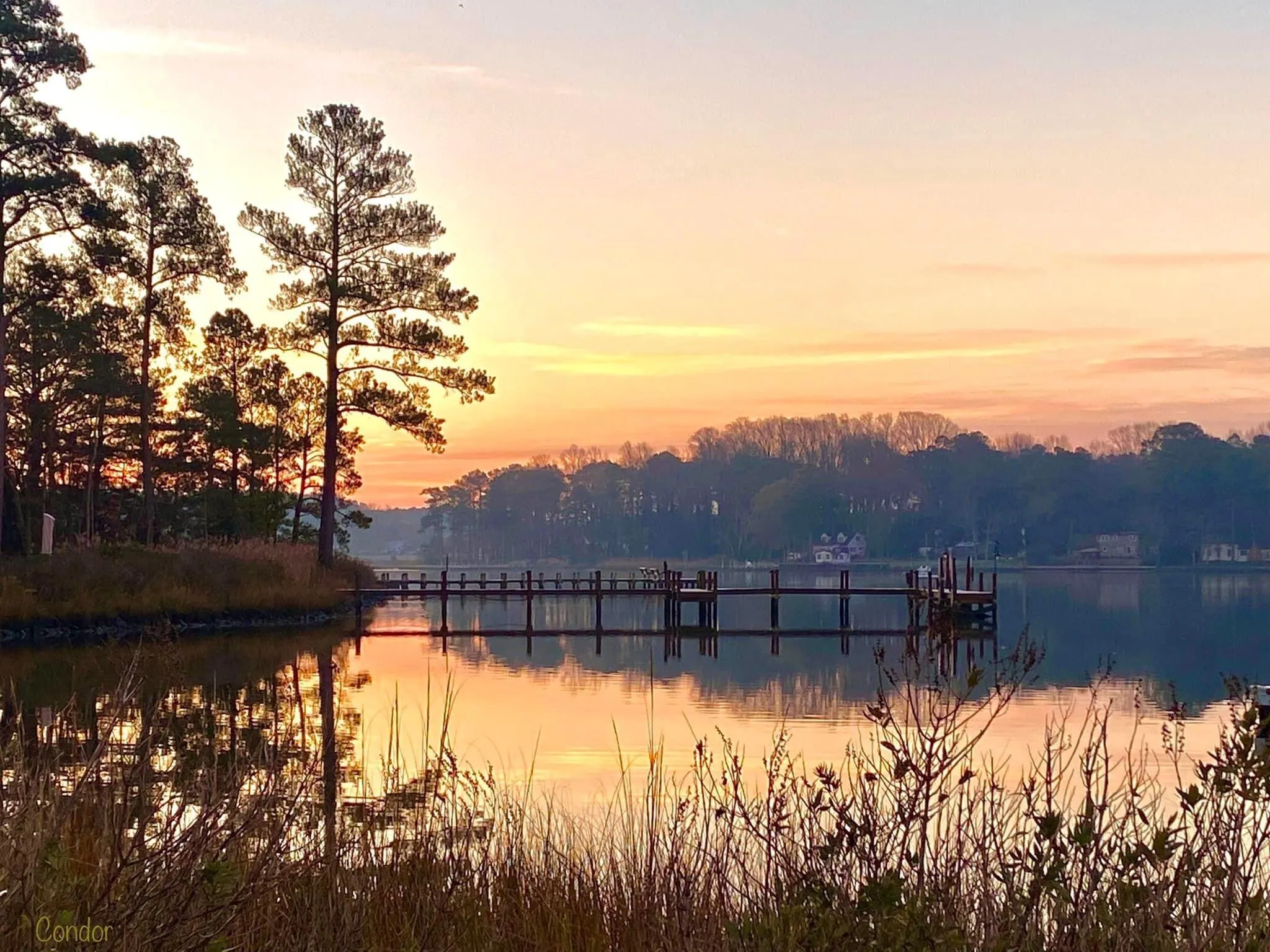 Thanksgiving Sunrise