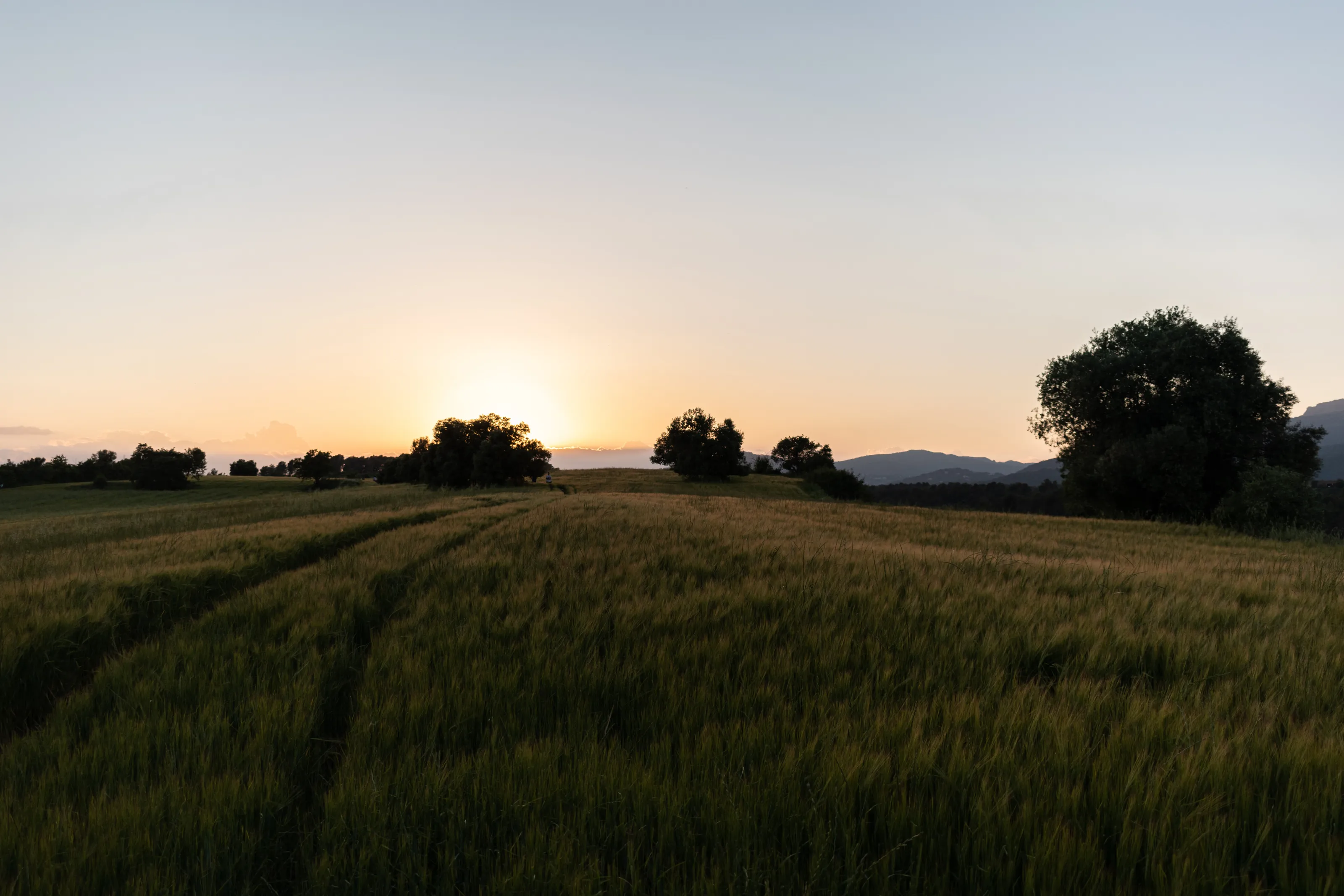 The sunset