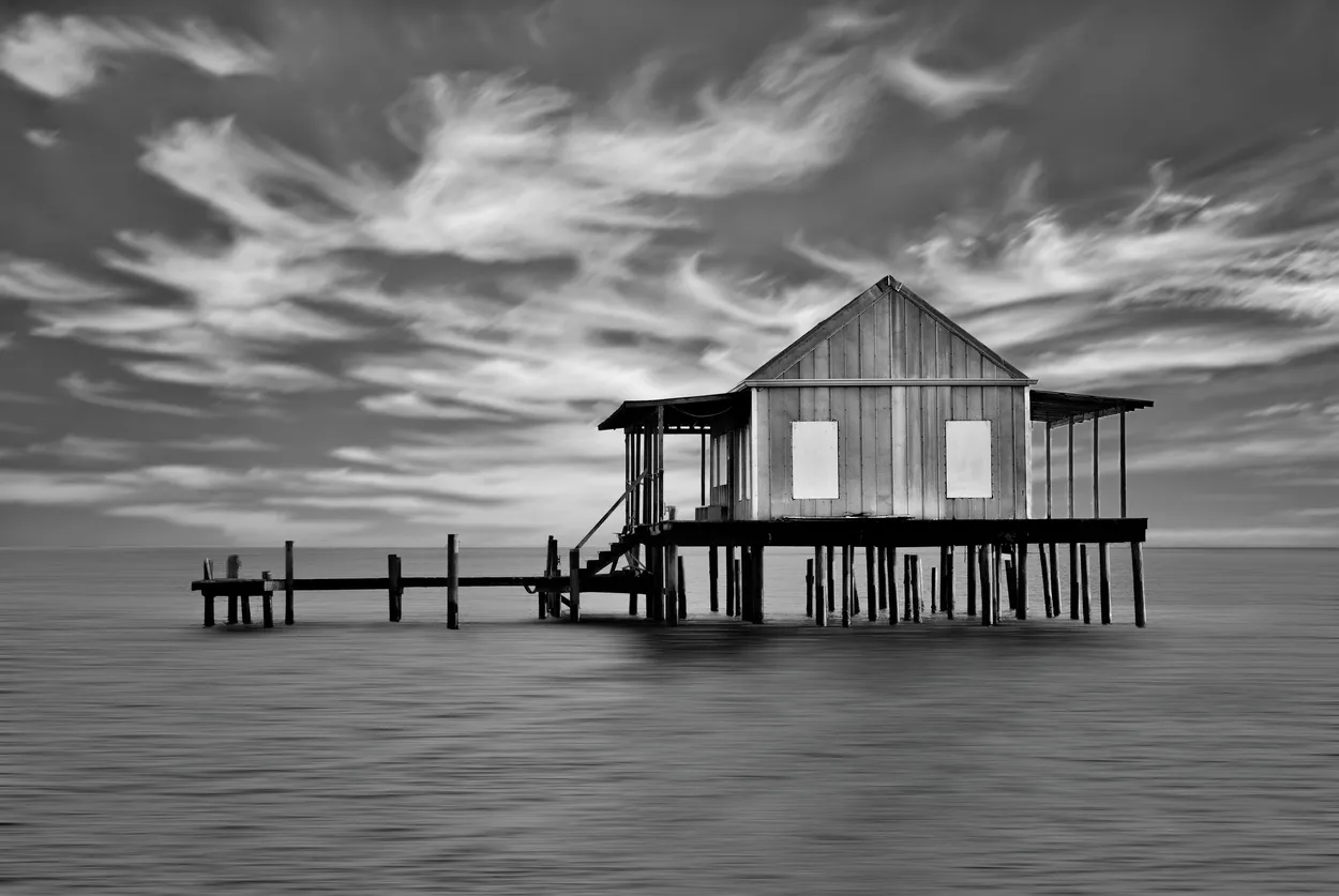 Entry 24198178
