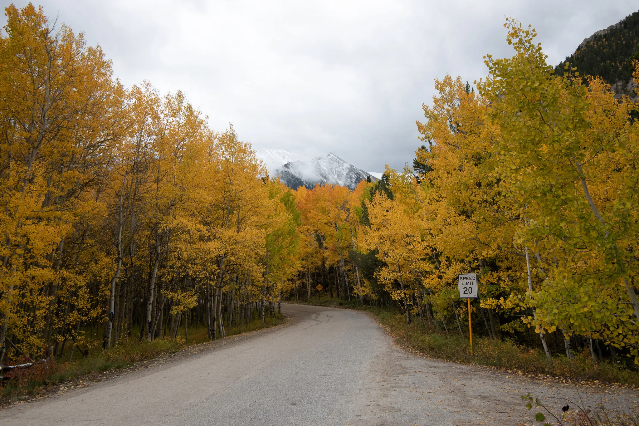 Autumn at Collegiate Peaks
