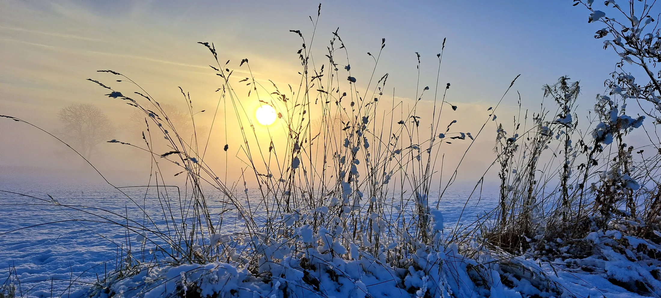Entry 15085444