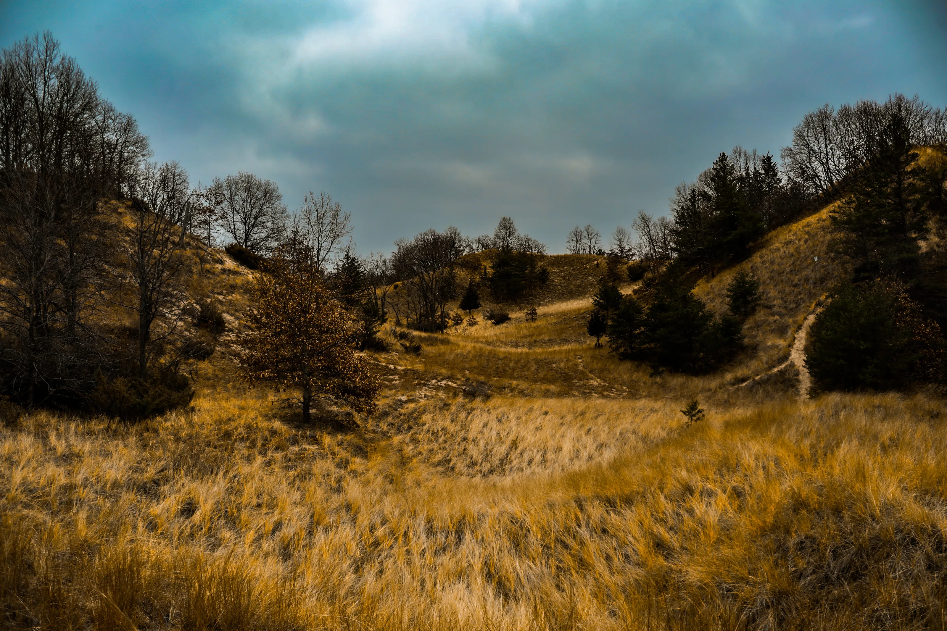 Indiana dunes  #8
