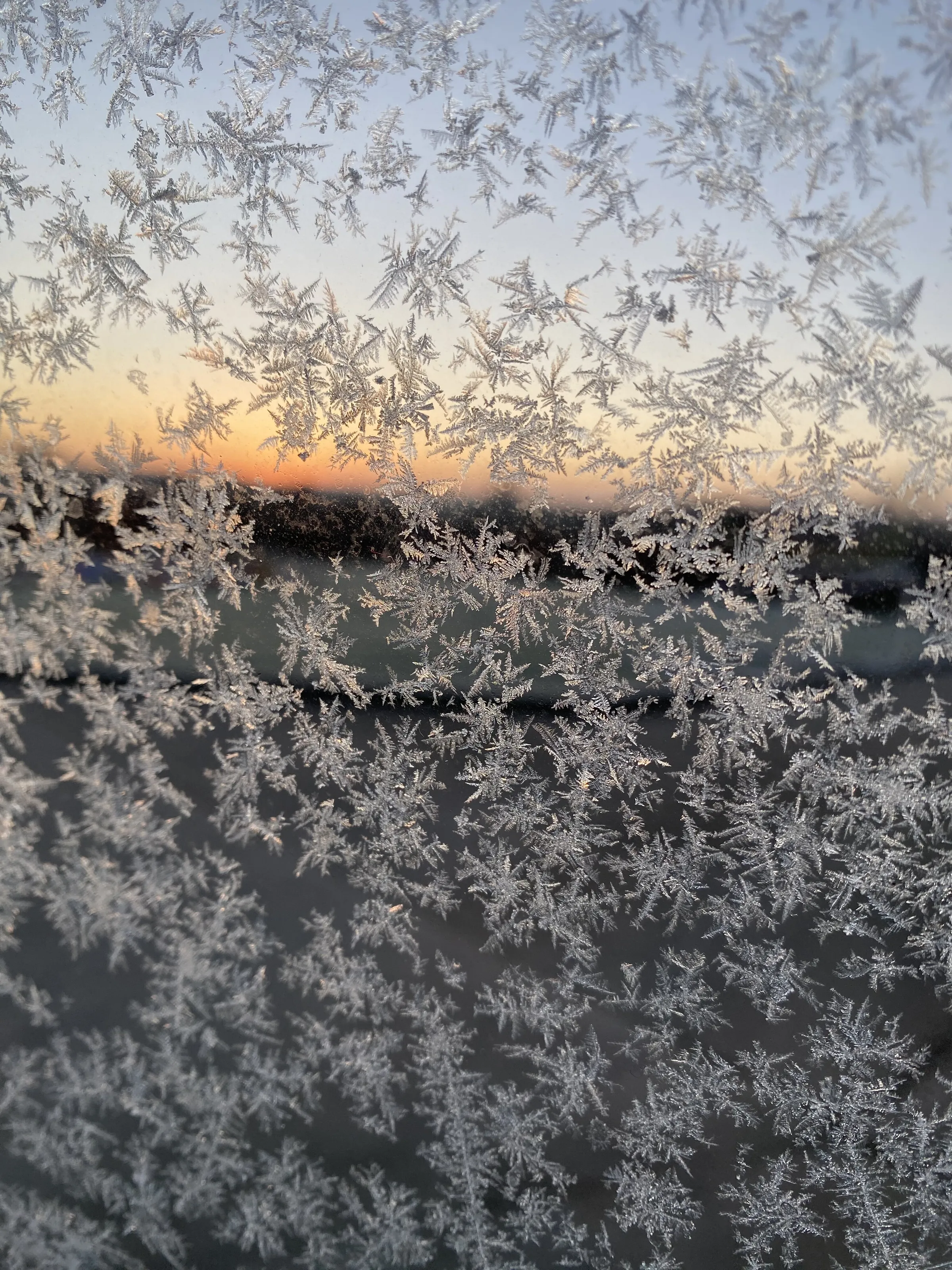 Sunset in the frost