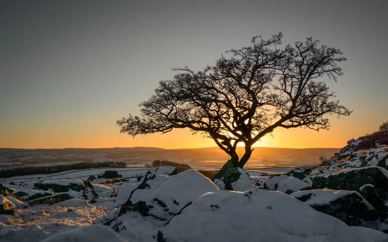 End of the Day
