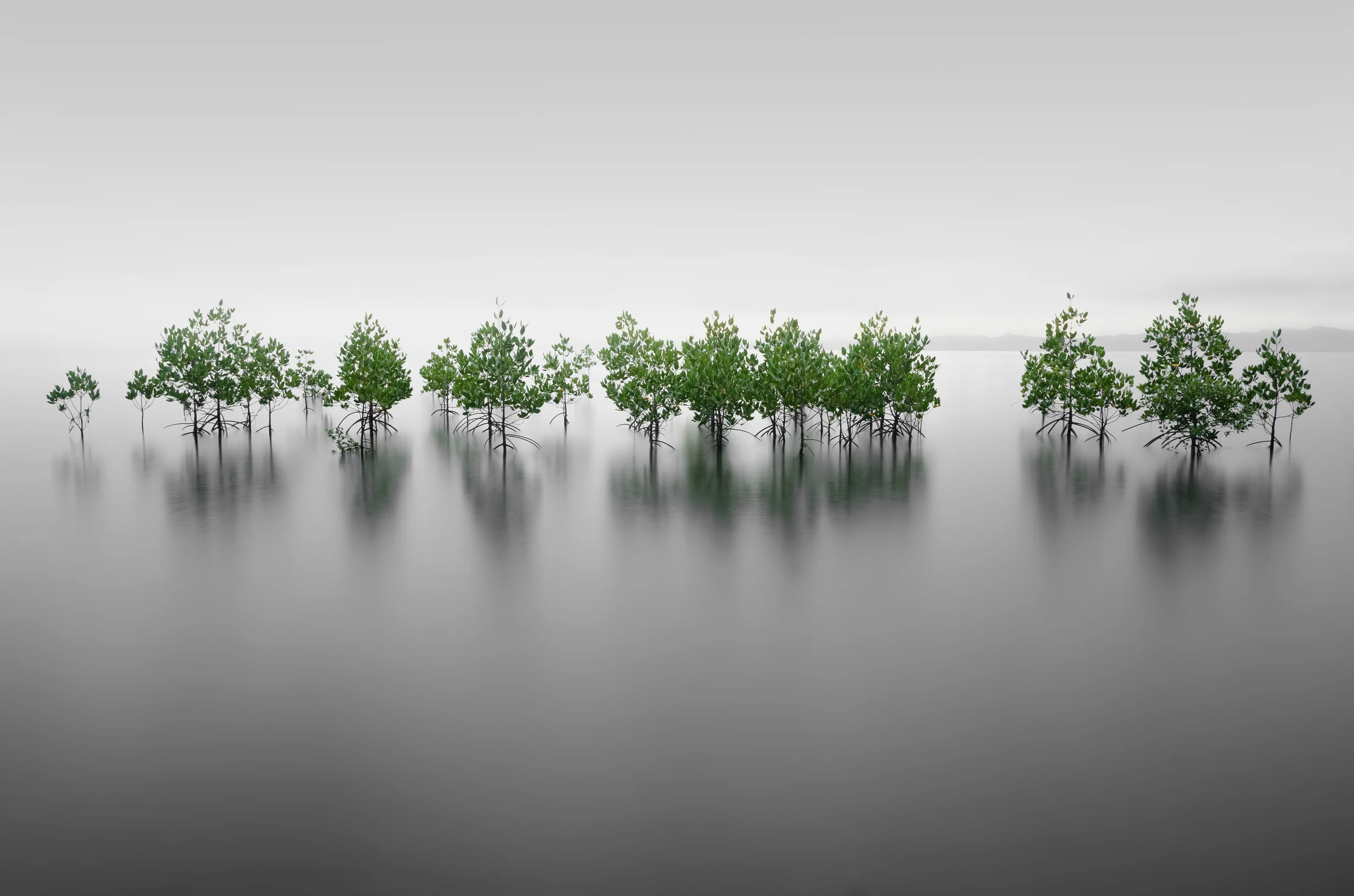 protection from nature