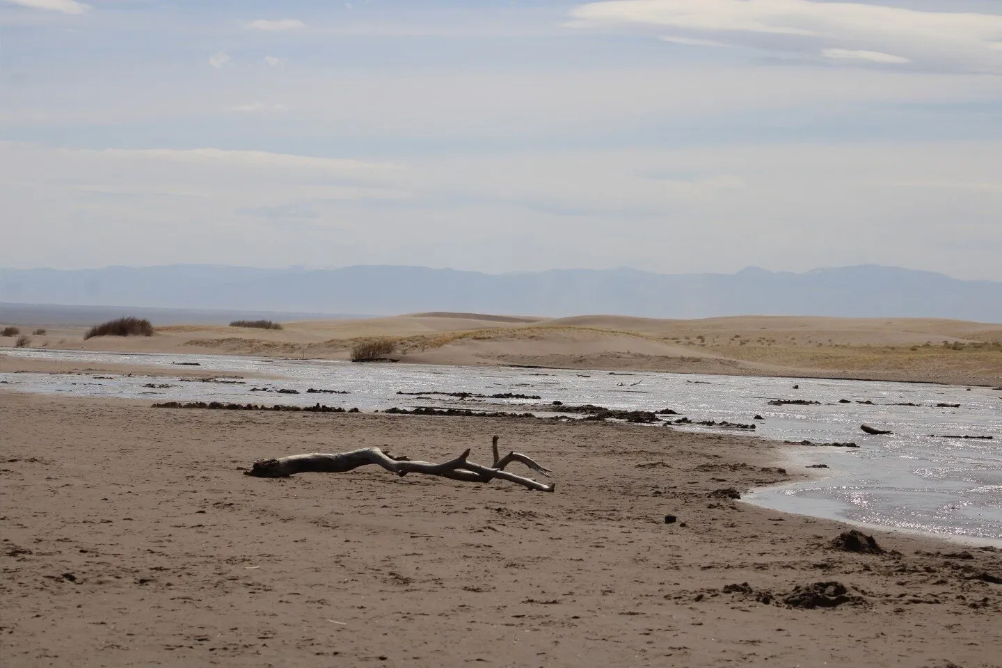 Colorado Sand dunes