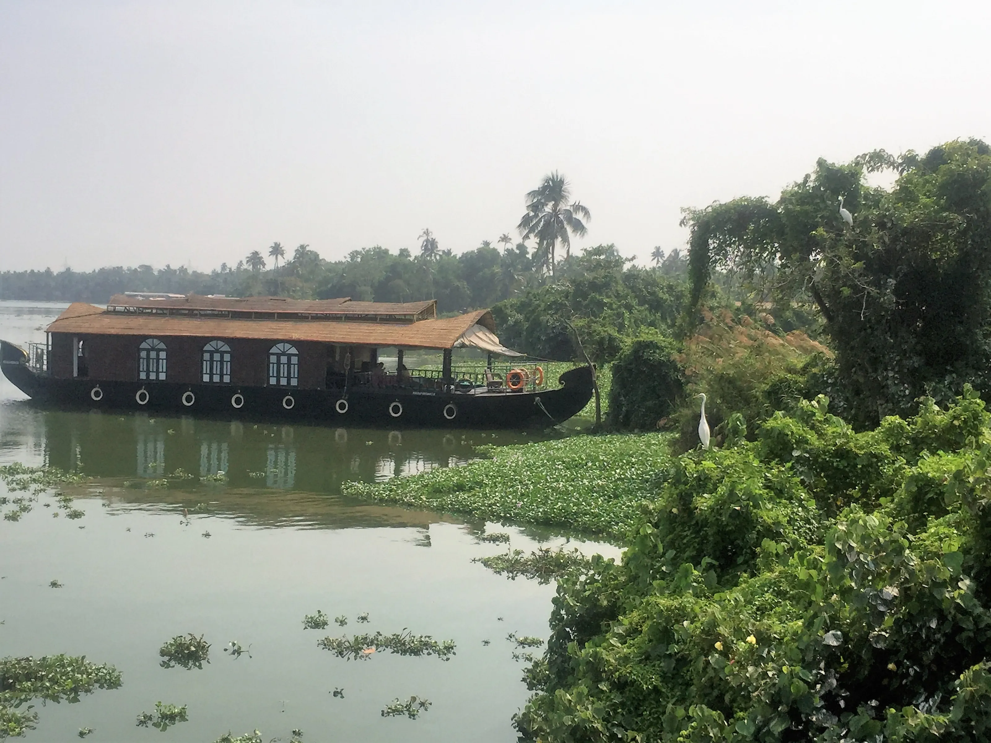 Human encroachment on natural environment