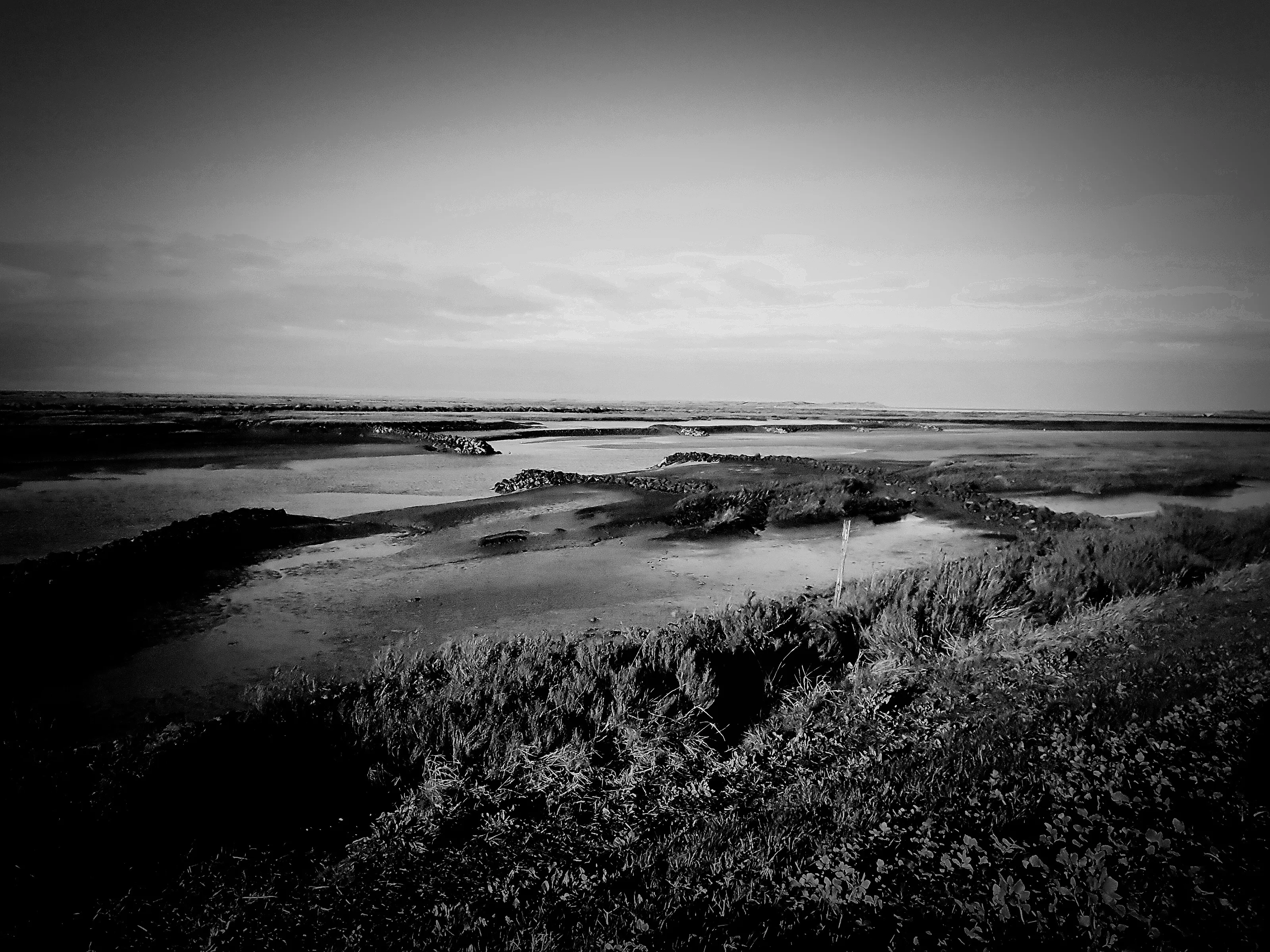 Norfolk shores